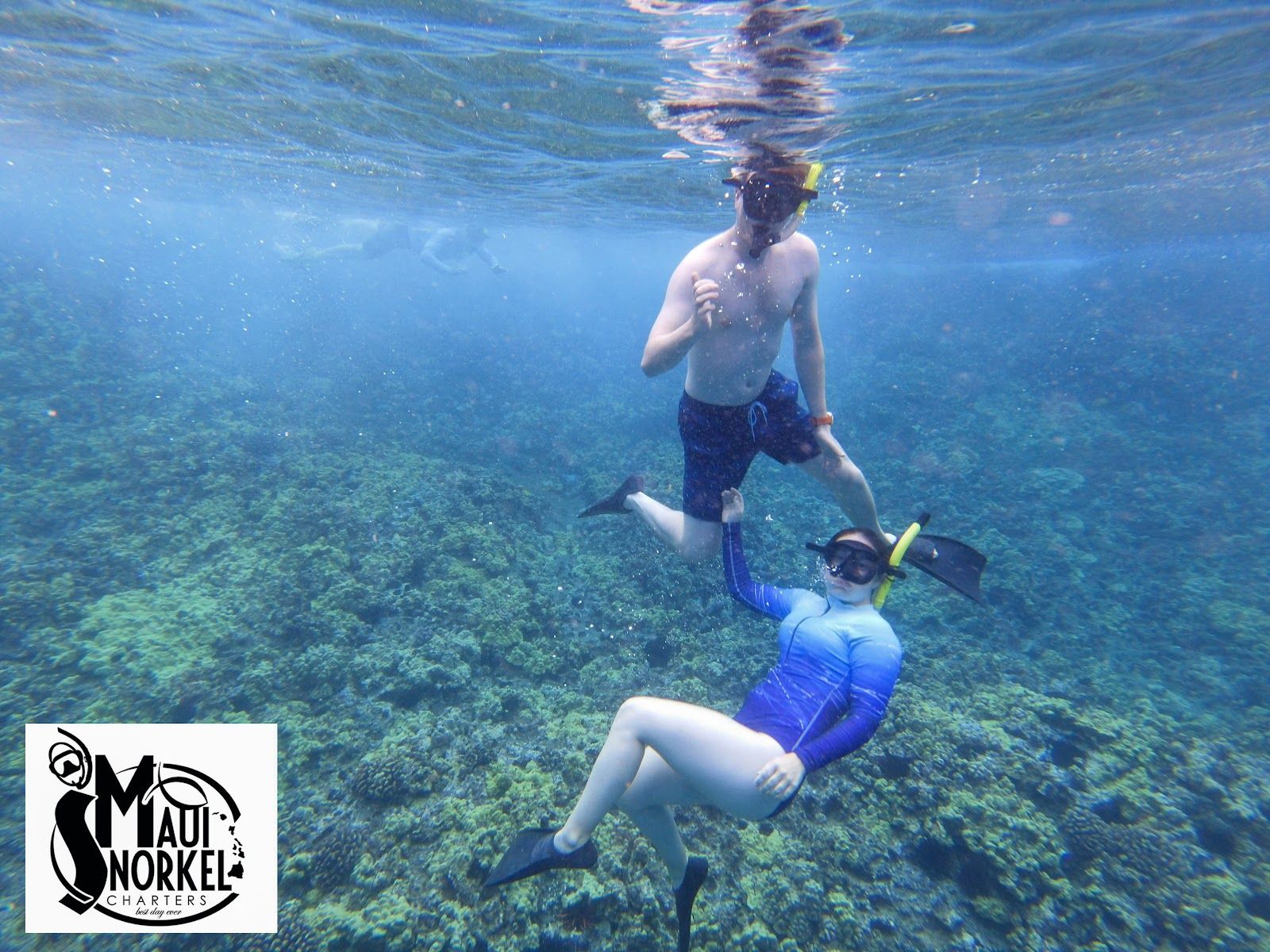 Photo 5 of Maui Snorkel Charters in Wailea, Maui