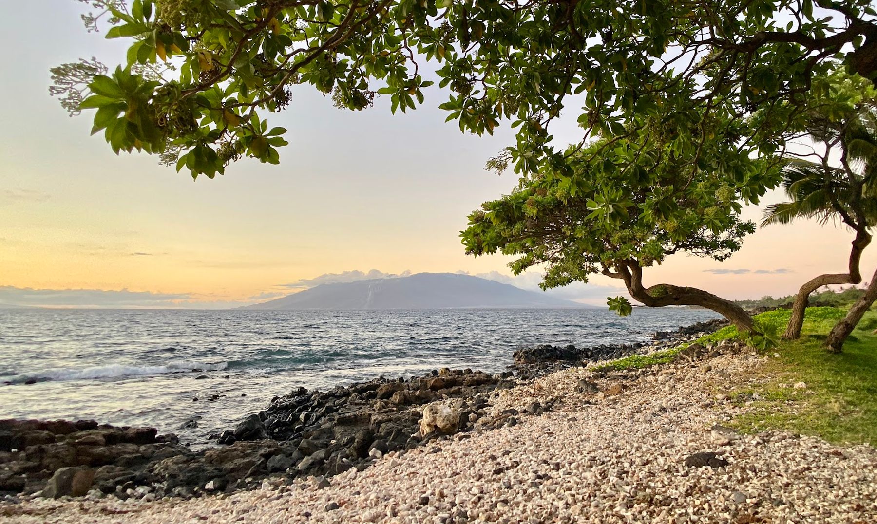 Photo 8 of Wailea Beach Path in Wailea, Maui