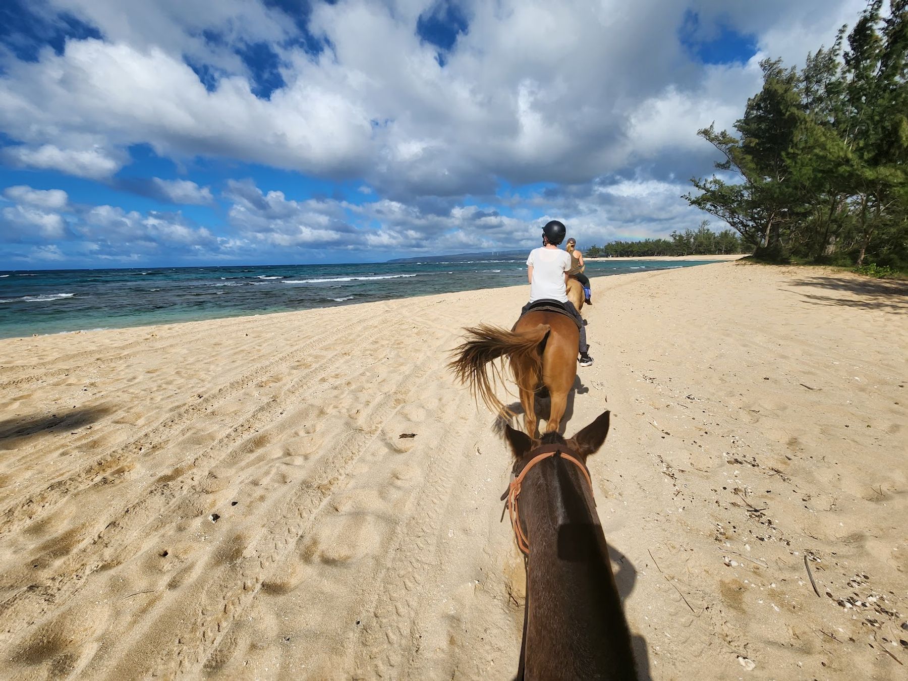 Photo 3 of Hawaii Polo Oceanfront Trail Rides in Waialua & Mokulēʻia, Oahu