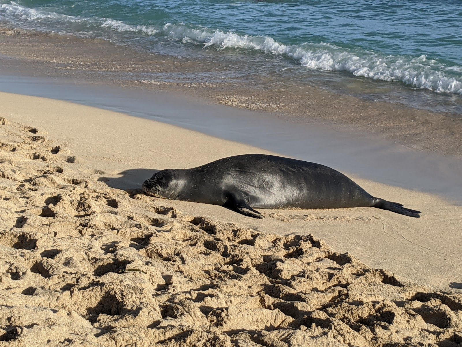 Photo 7 of White Plains Beach in Kapolei & Makakilo, Oahu