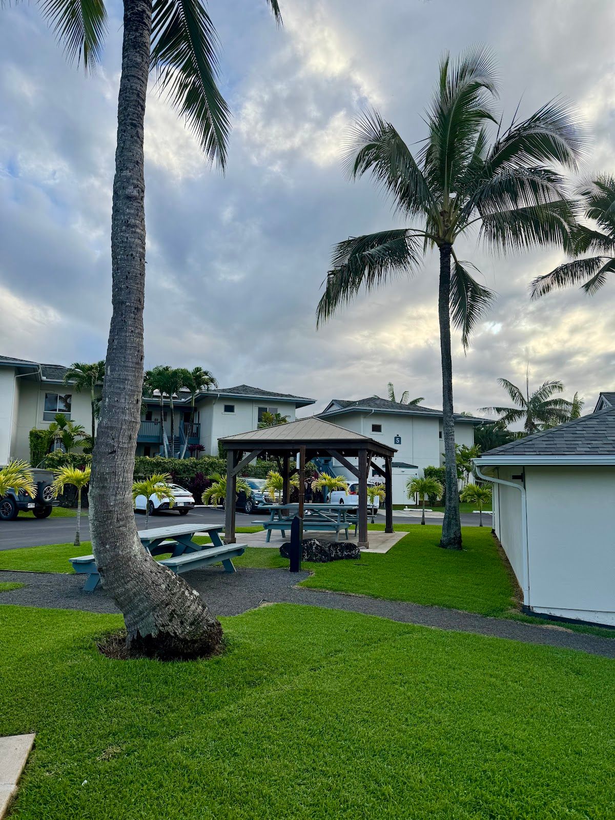 Photo 8 of Shrimp Paradise in Princeville, Kauai
