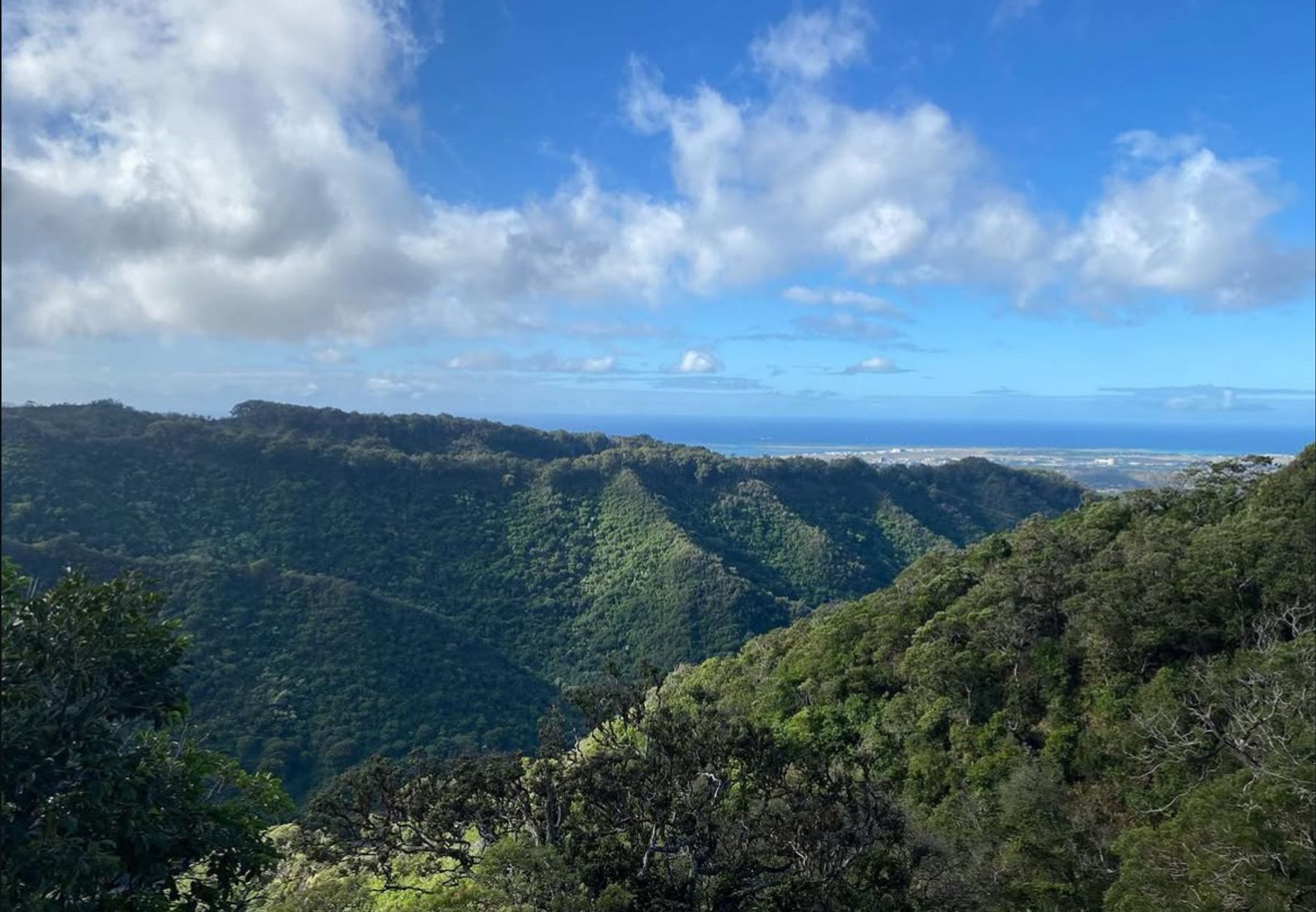 Photo 6 of ʻAiea Loop Trailhead in Pearl Harbor & ʻAiea, Oahu