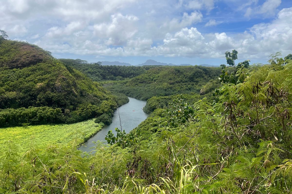 Wailua River State Park in Kapaʻa, Kaua‘i