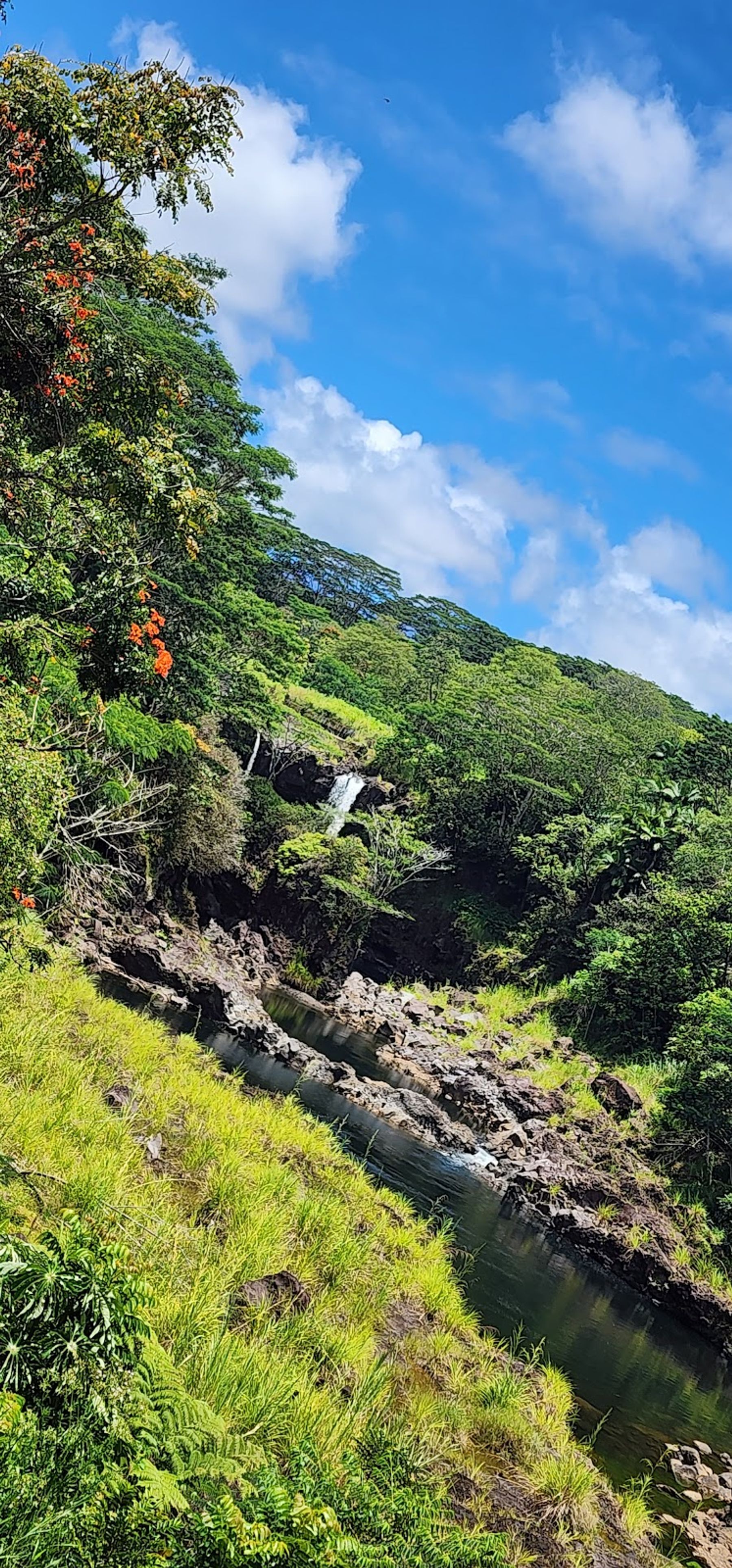 Photo 6 of Boiling Pots in Hilo, Big Island