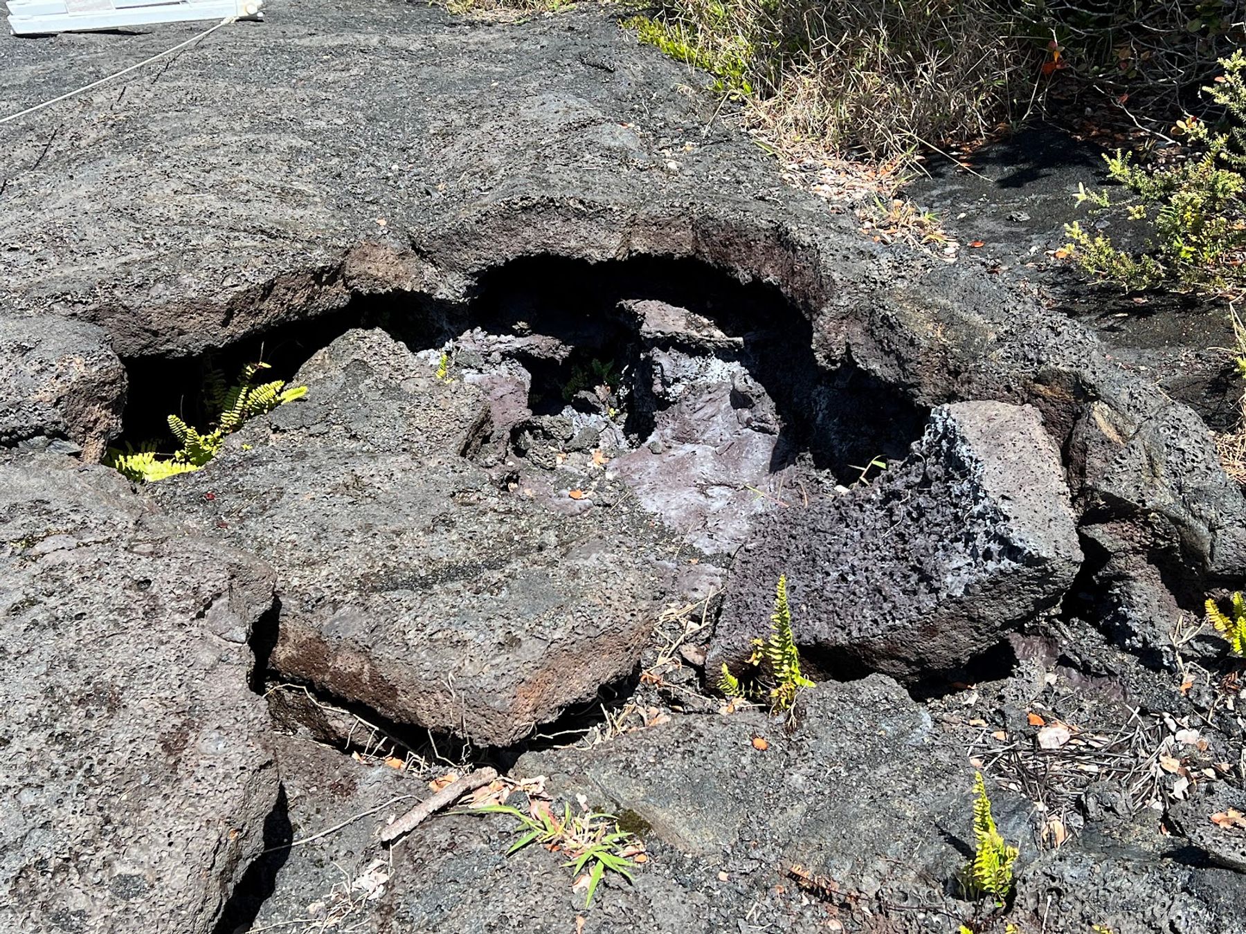 Photo 5 of Byron Ledge Trail in Volcano, Big Island