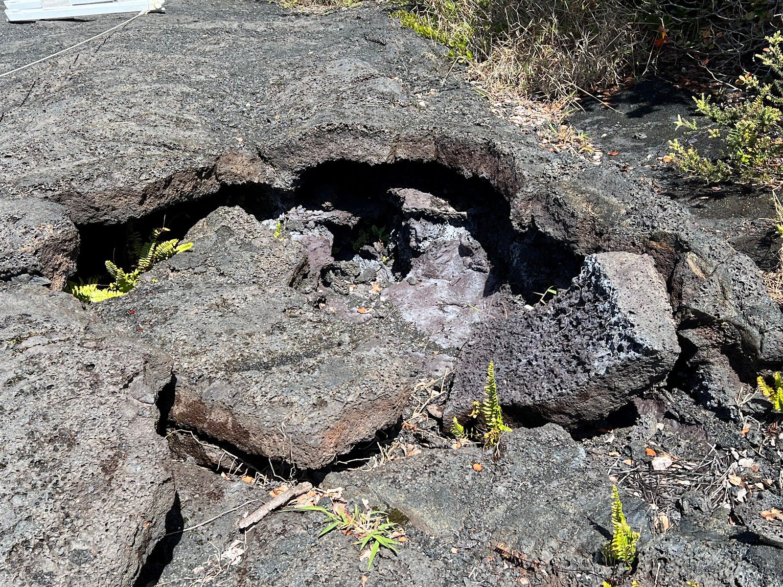 Photo 5 of Byron Ledge Trail in Volcano, Big Island