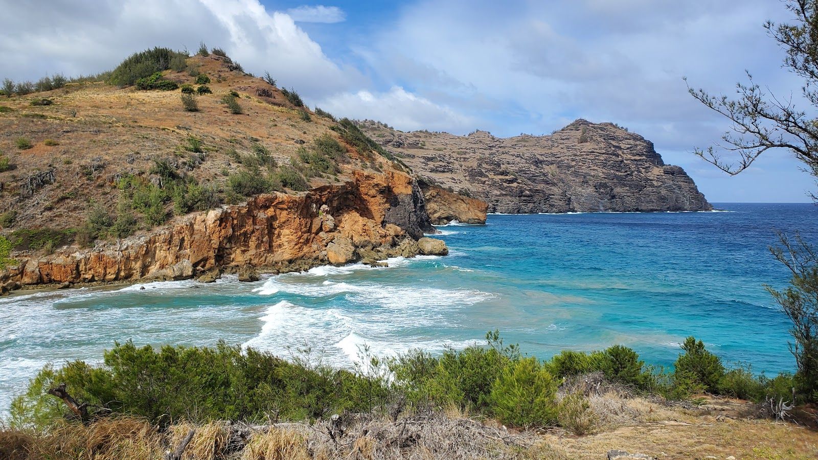 CJM Country Stables in Poʻipū, Kaua‘i photo 5