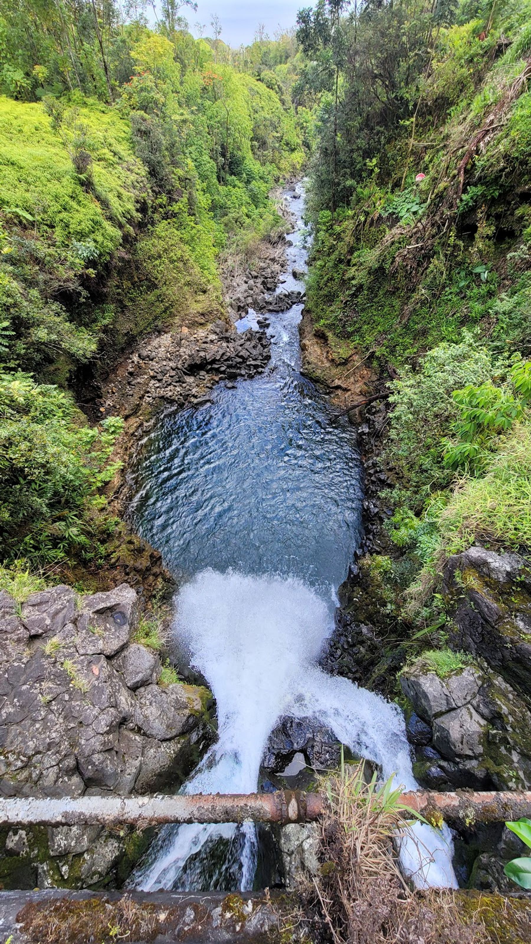 Photo 1 of Makapipi Falls in Keʻanae-Nāhiku, Maui