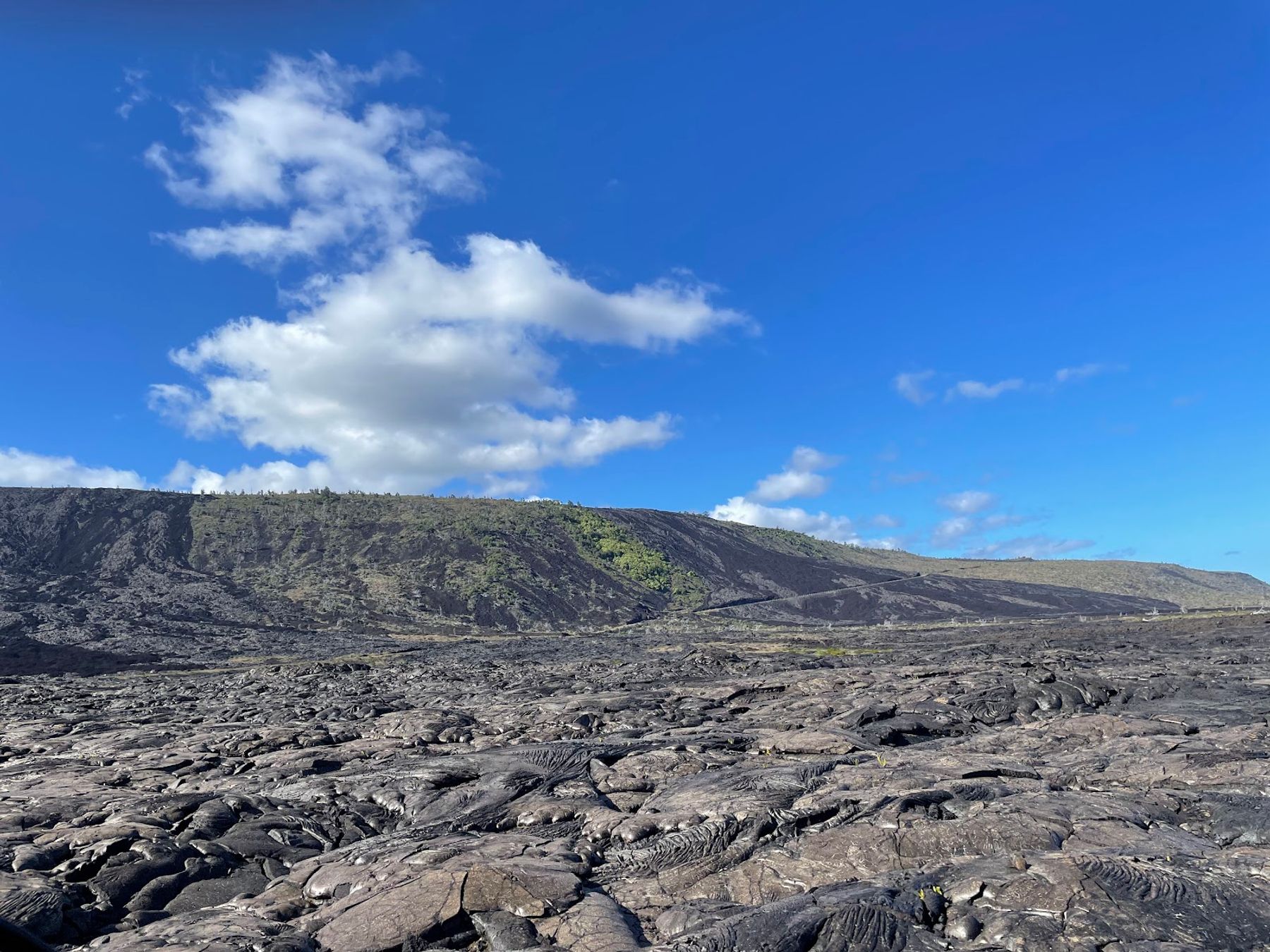Photo 1 of Chain of Craters Road in Volcano, Big Island