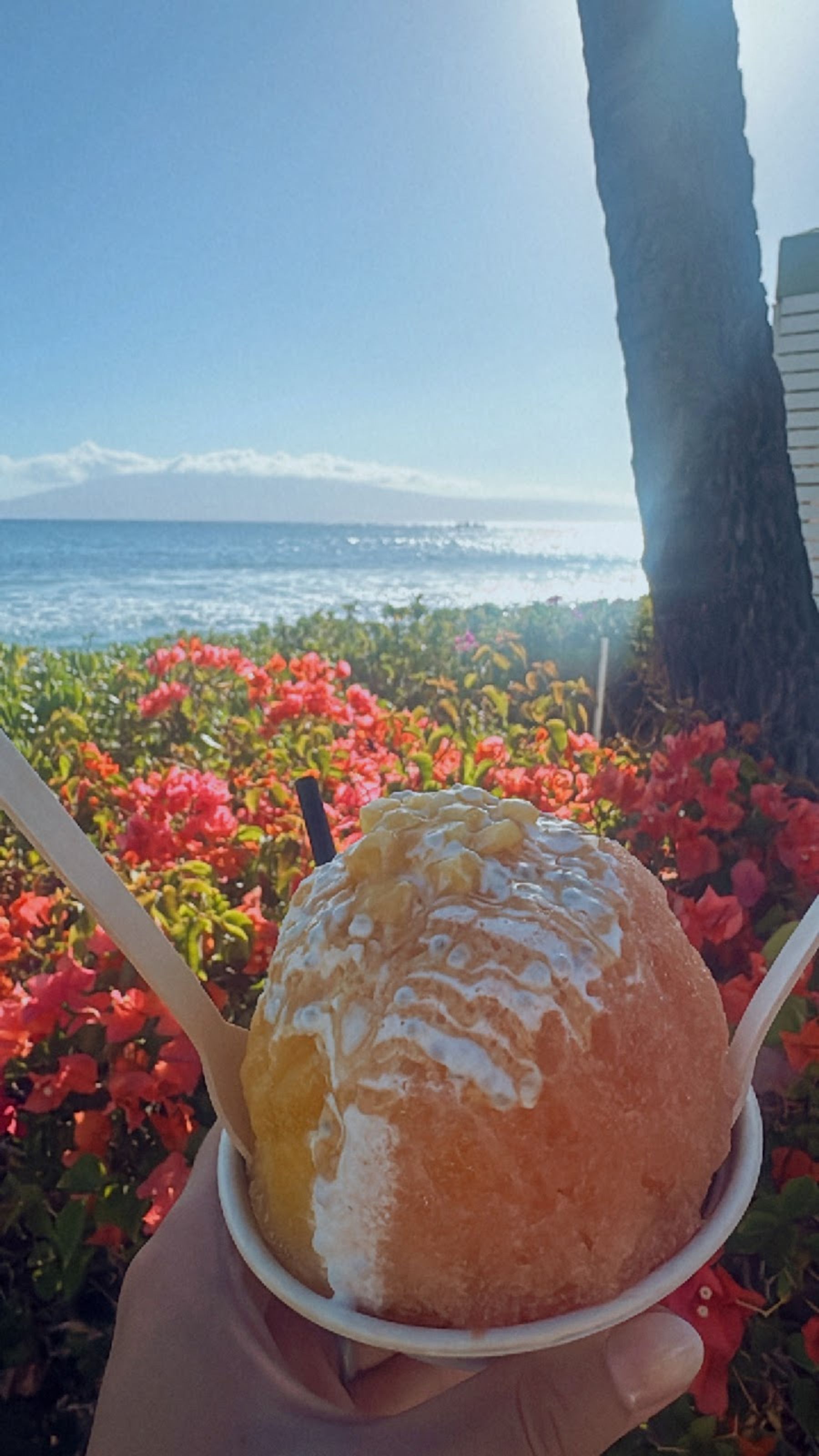 Photo 5 of Waikomo Shave Ice & Gelato Hyatt in Kāʻanapali, Maui