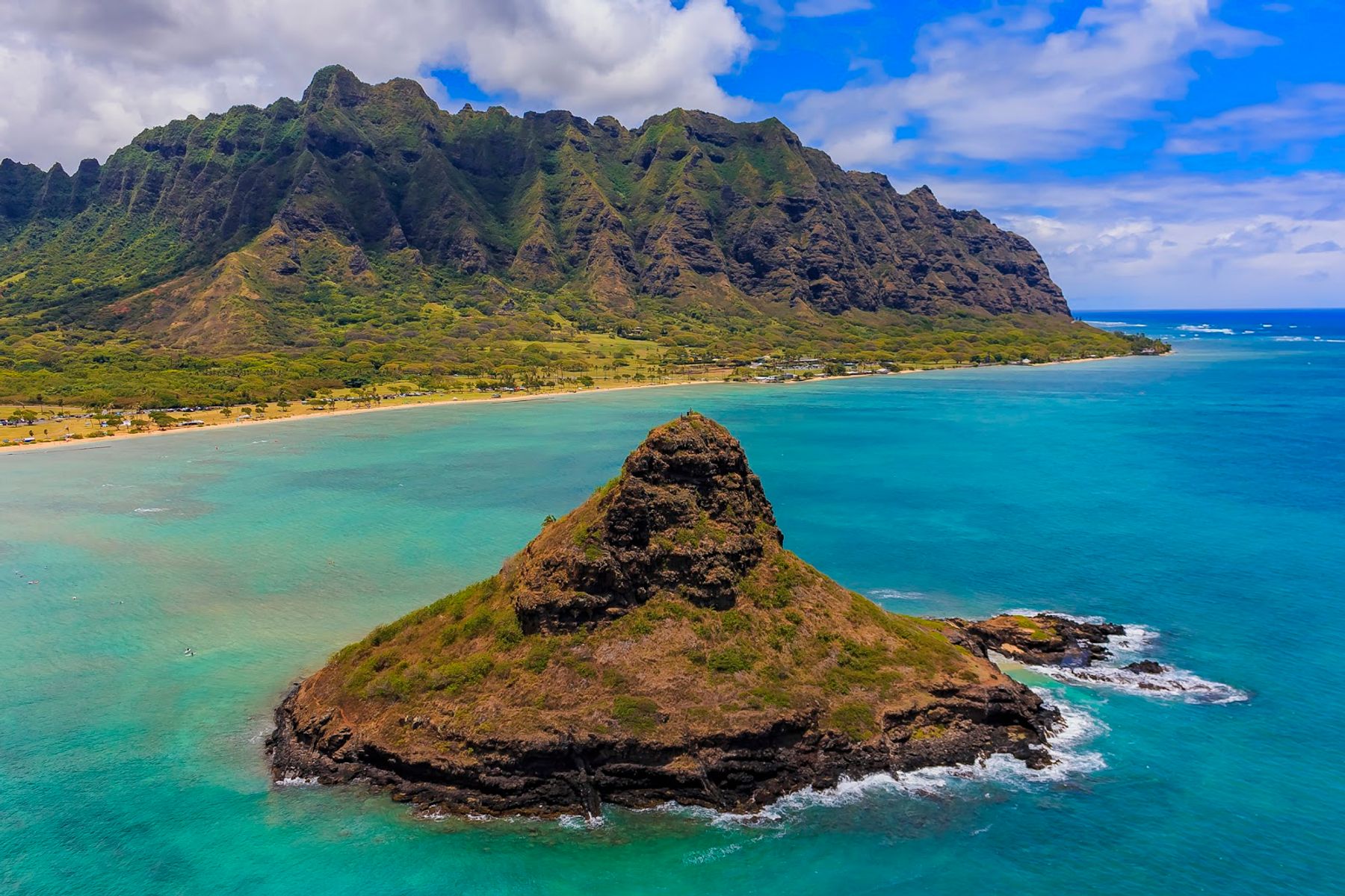 Photo 4 of Hawaii Turtle Tours in Ala Moana & Mōʻiliʻili, Oahu