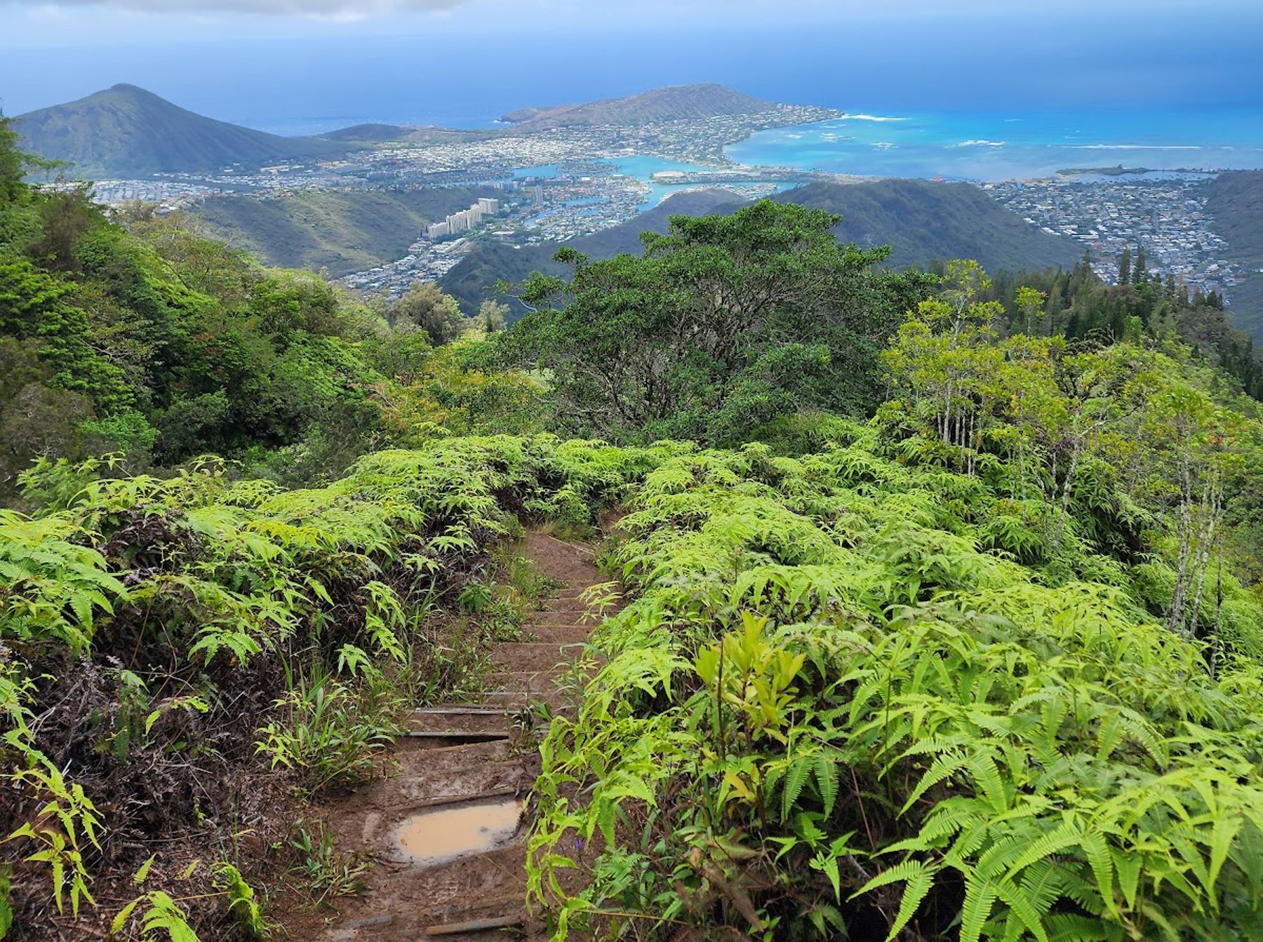 Photo 6 of Kuli‘ou‘ou Ridge Trailhead in Hawaiʻi Kai & East Honolulu, Oahu
