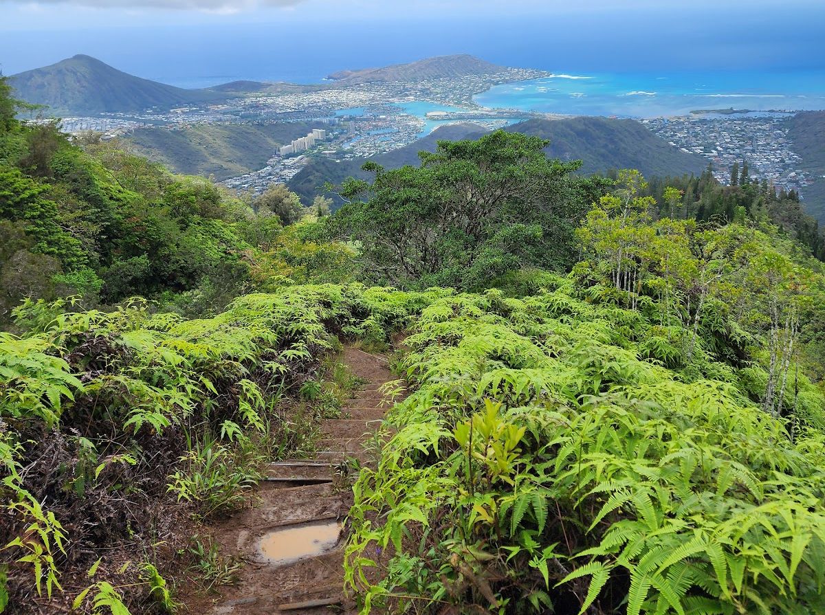 Photo 6 of Kuli‘ou‘ou Ridge Trailhead in Hawaiʻi Kai & East Honolulu, Oahu