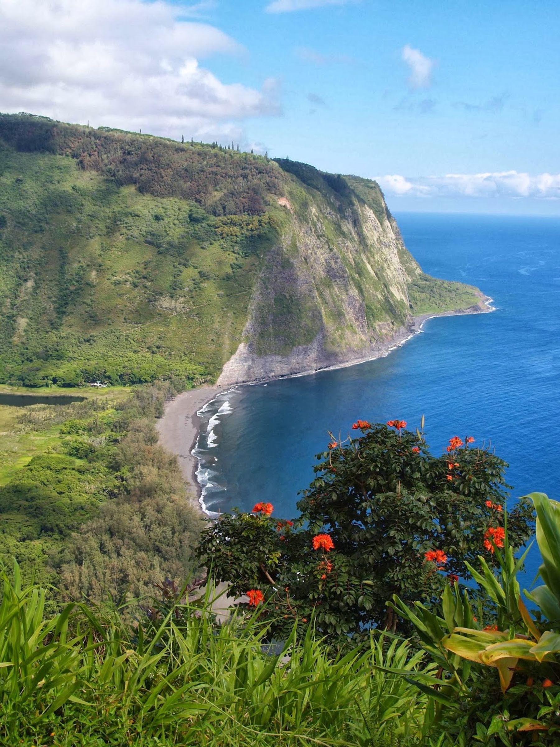 Photo 3 of Waipiʻo Wayside Bed & Breakfast in Honokaʻa, Big-island