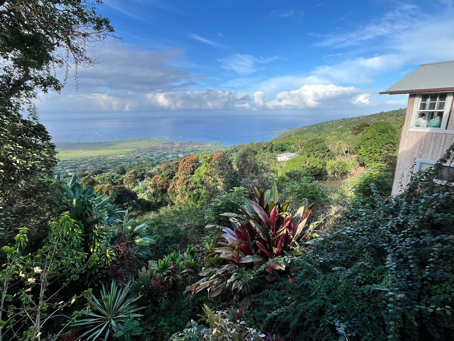 Photo 6 of The Coffee Shack in South Kona, Big Island