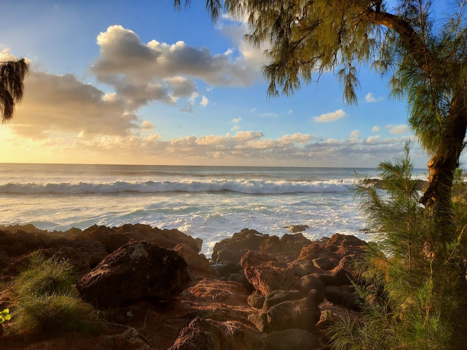 Photo 8 of Shark’s Cove in Pūpūkea, Oahu