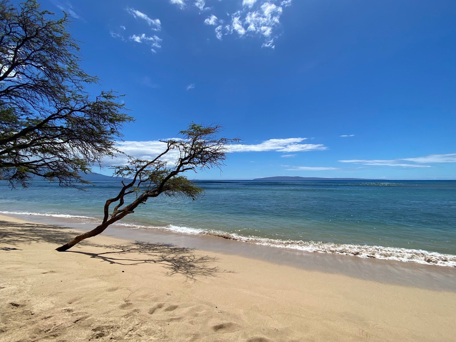 Photo 5 of Pāpalaua Wayside Park in Olowalu, Maui