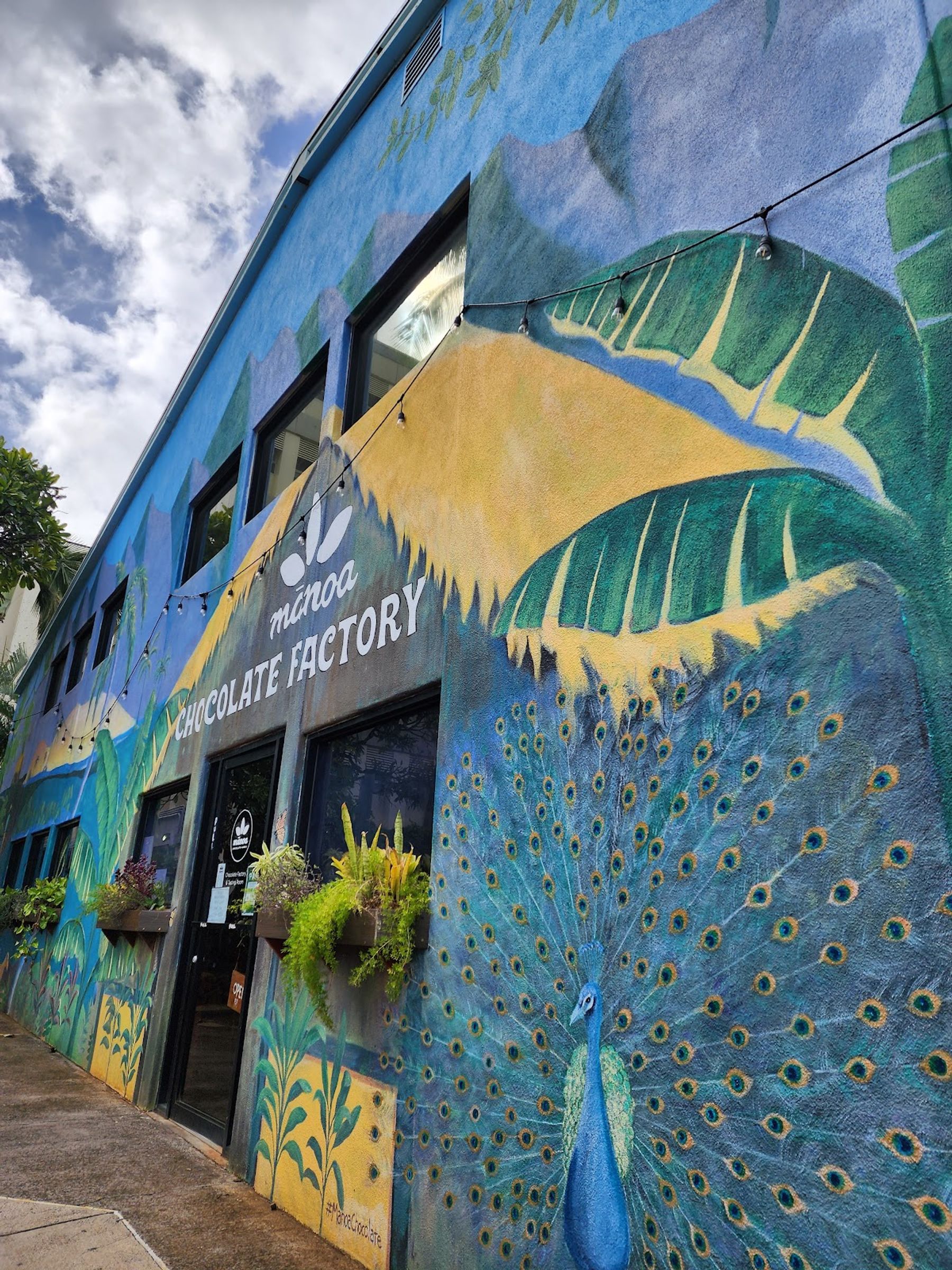 Photo 1 of Mānoa Chocolate & Wine Bar in Kailua & Lanikai, Oahu