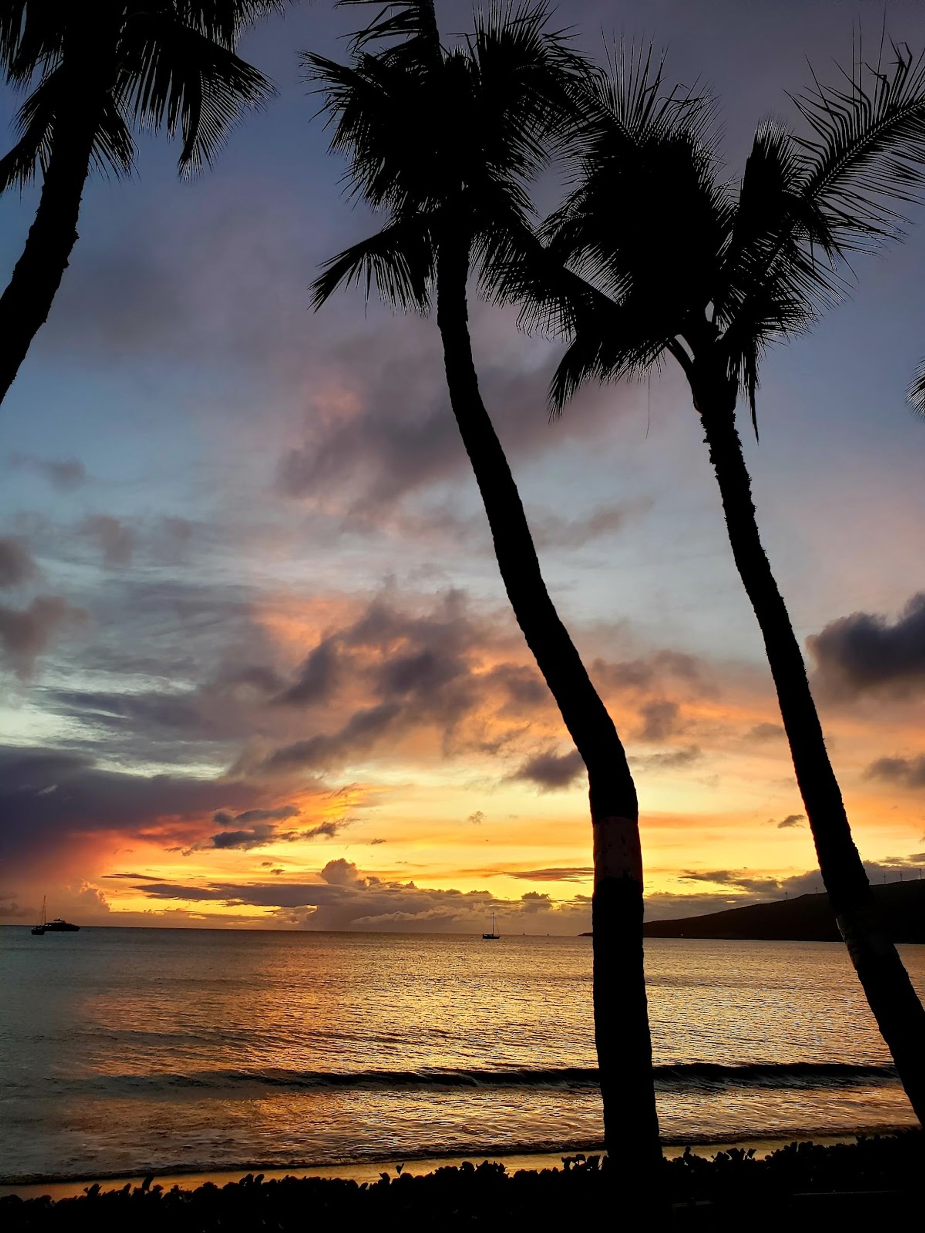Photo 4 of Kealia Resort in Kīhei, Maui