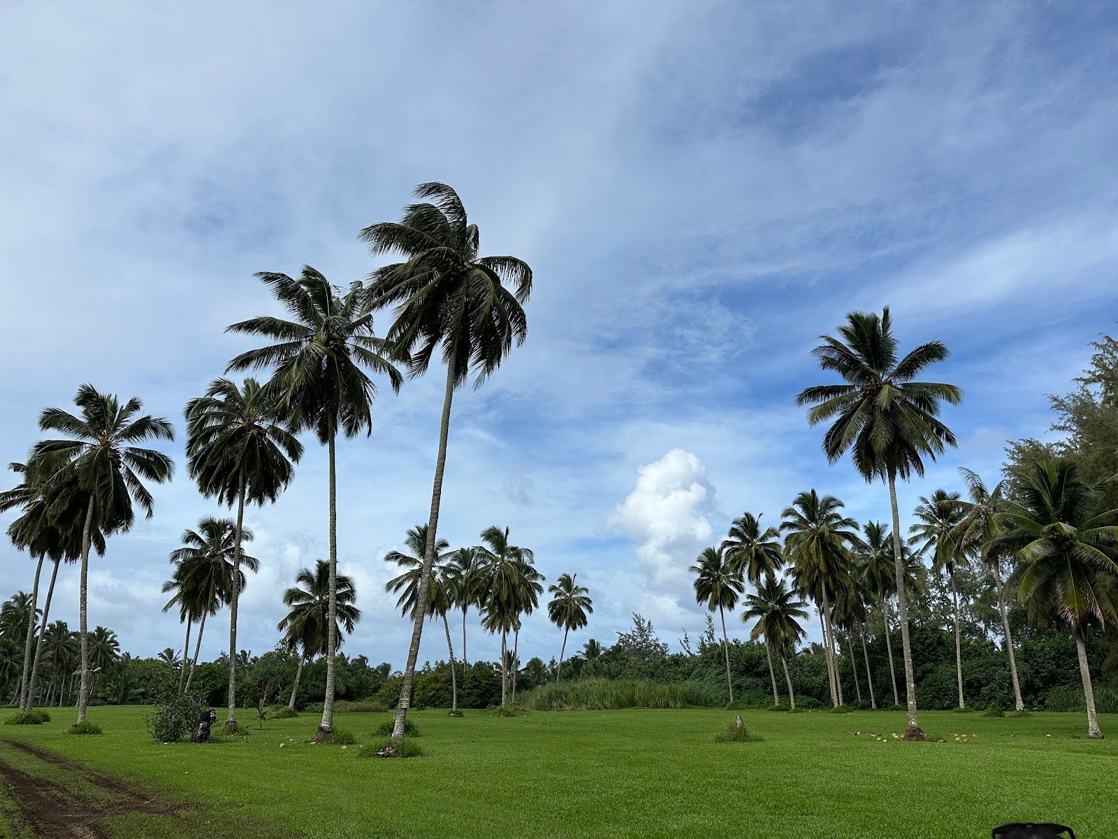 Photo 4 of Kahanu Garden, National Tropical Botanical Garden in Keʻanae-Nāhiku, Maui