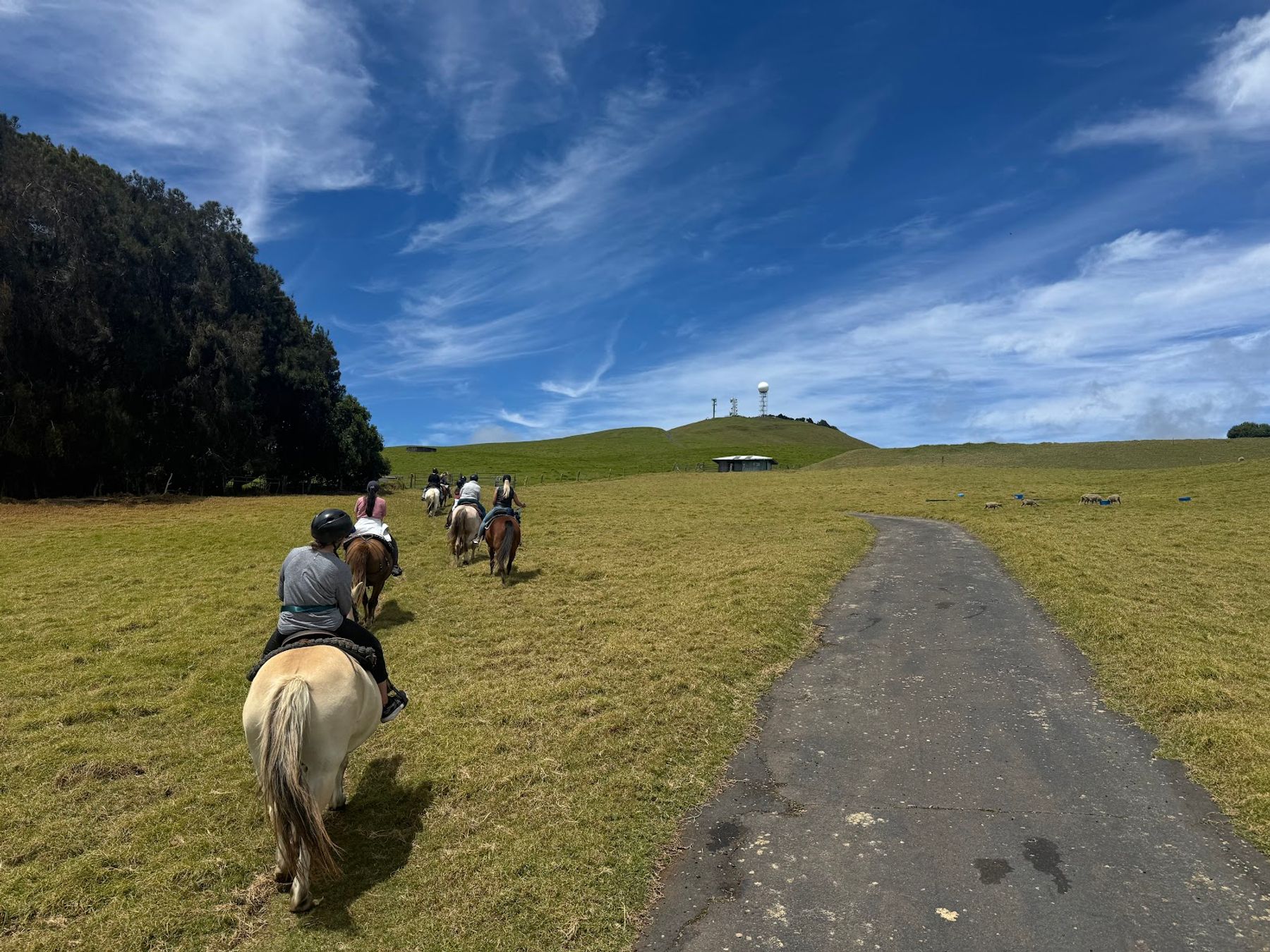 Photo 2 of Kohala Na'alapa Stables in Waimea, Big Island