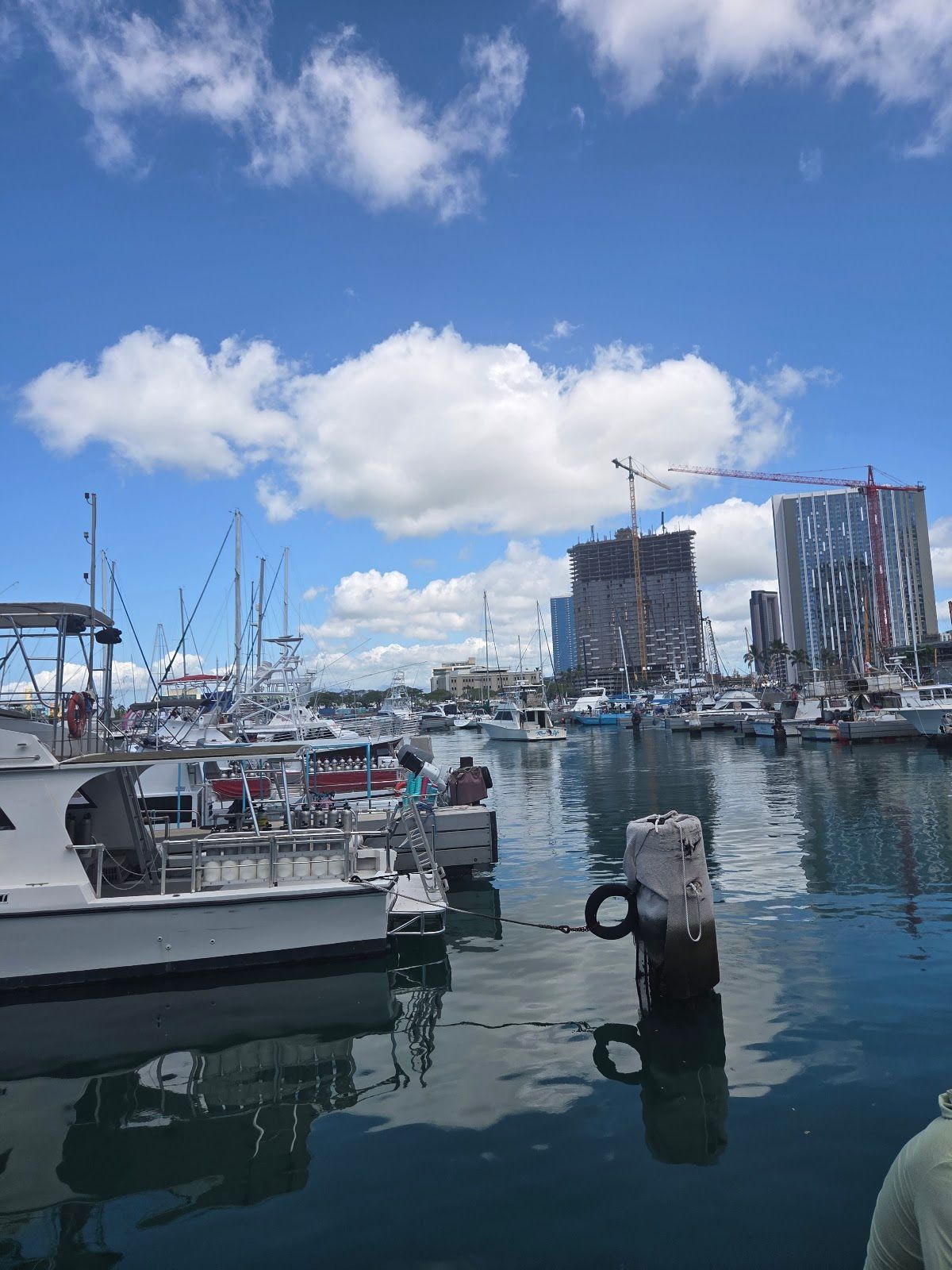 Photo 5 of Living Ocean Tours in Ala Moana & Mōʻiliʻili, Oahu