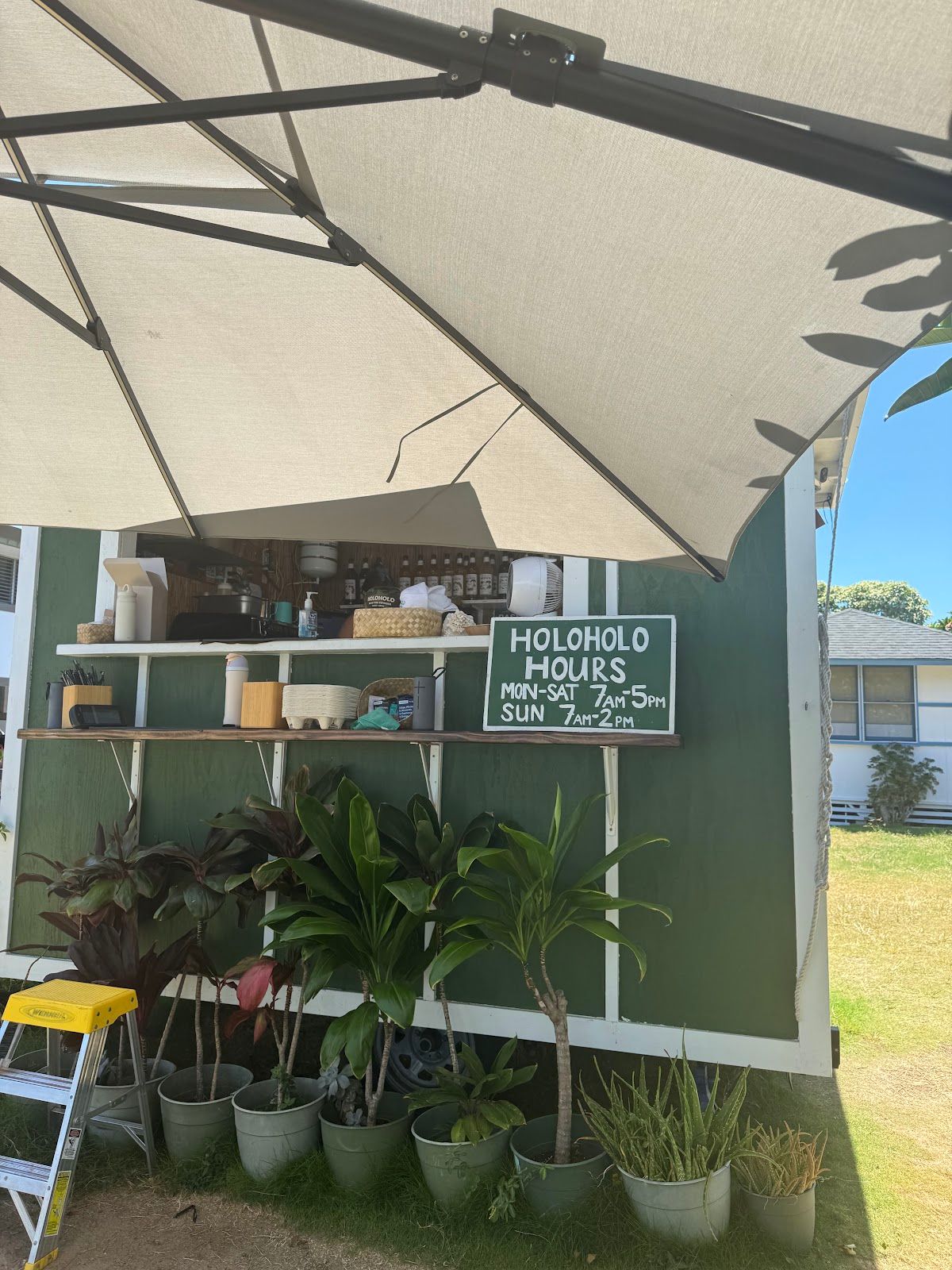 Photo 6 of Holoholo Espresso in Kailua & Lanikai, Oahu