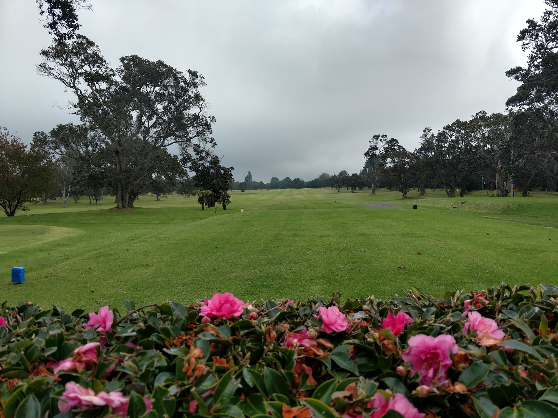 Photo 8 of Volcano Golf Course in Volcano, Big Island
