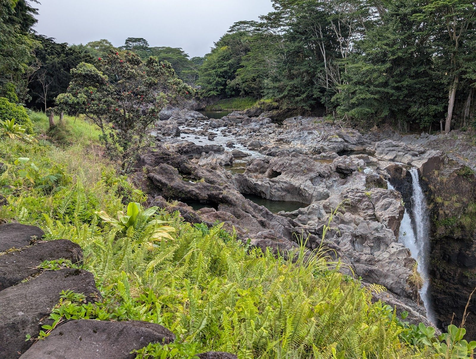 Photo 4 of Rainbow Falls in Hilo, Big Island