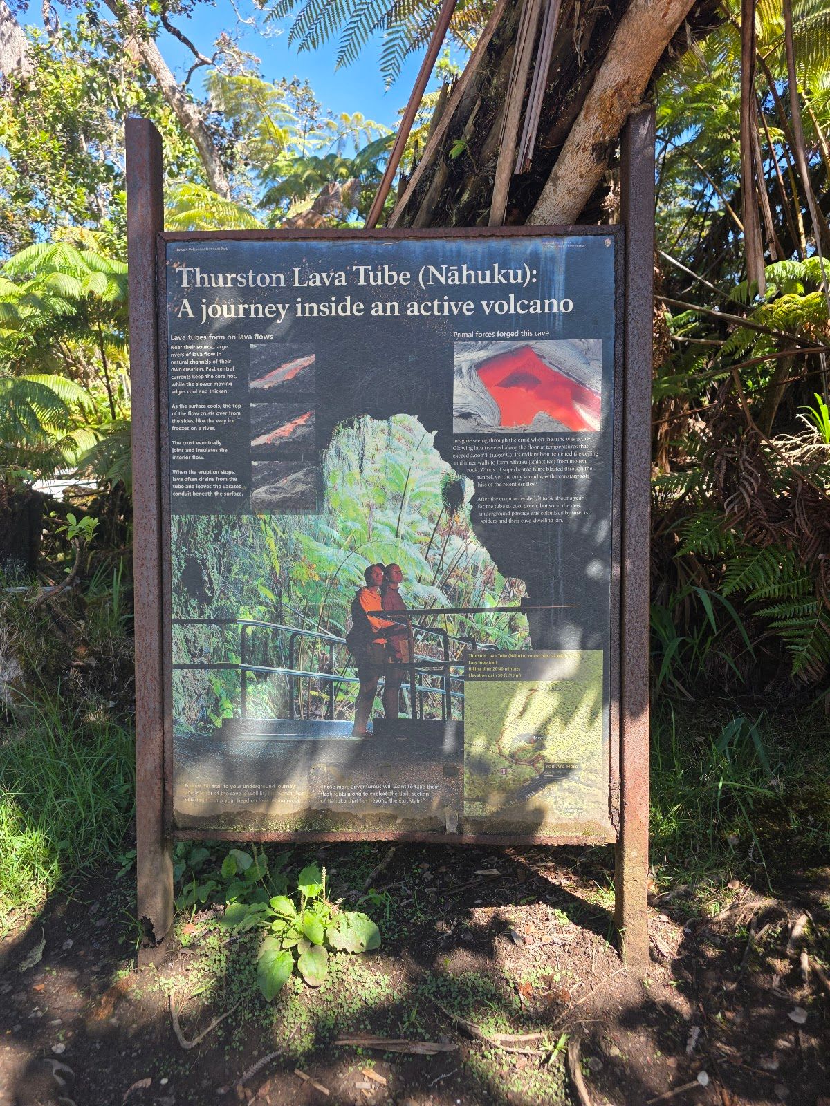 Photo 9 of Kīlauea Iki Trailhead in Volcano, Big Island