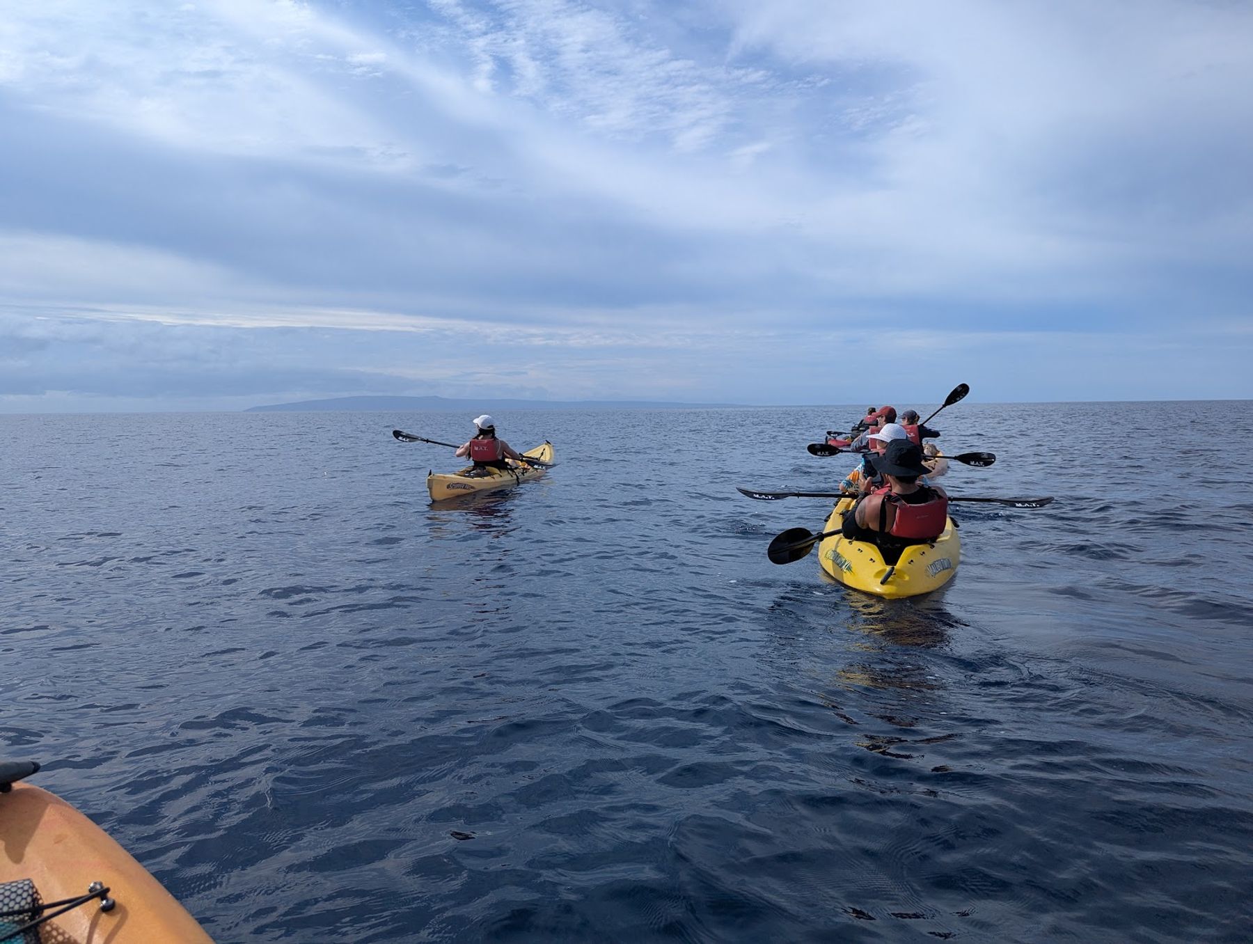 Photo 3 of Maui Adventure Tours Kayak Company in Lāhainā, Maui