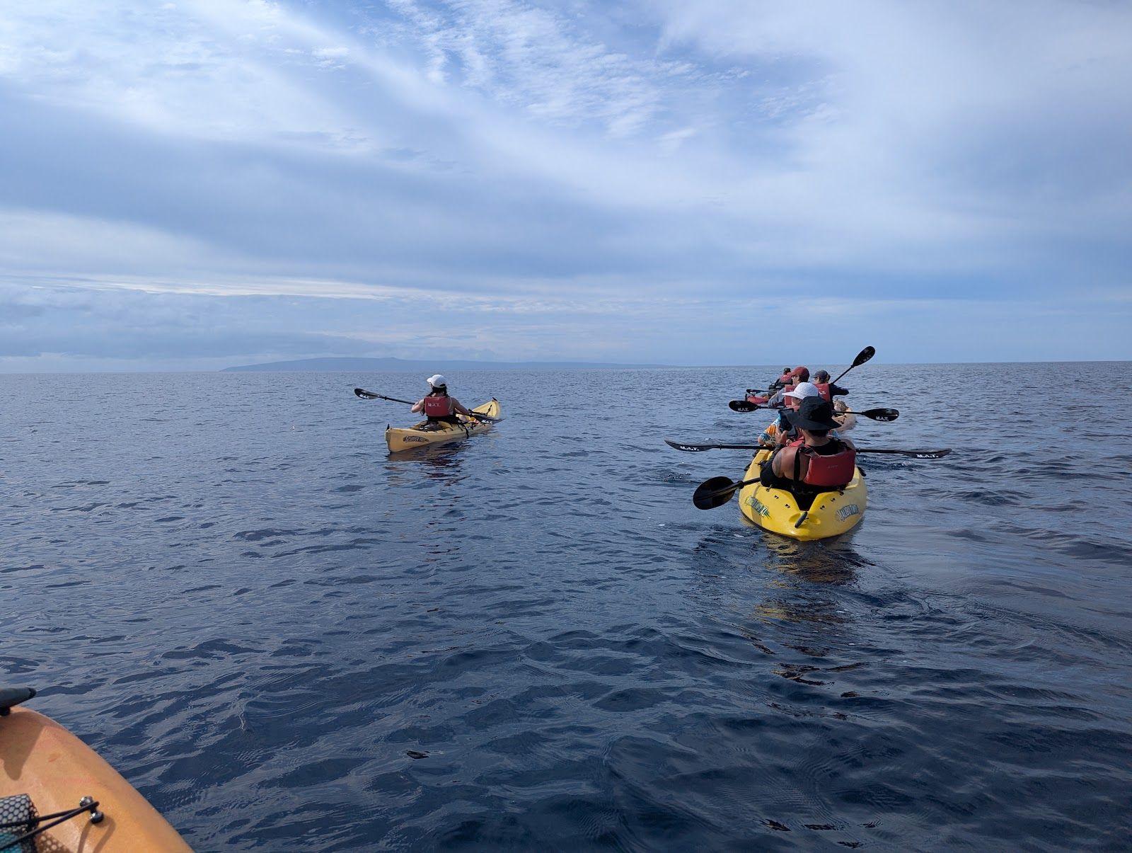 Photo 3 of Maui Adventure Tours Kayak Company in Lāhainā, Maui