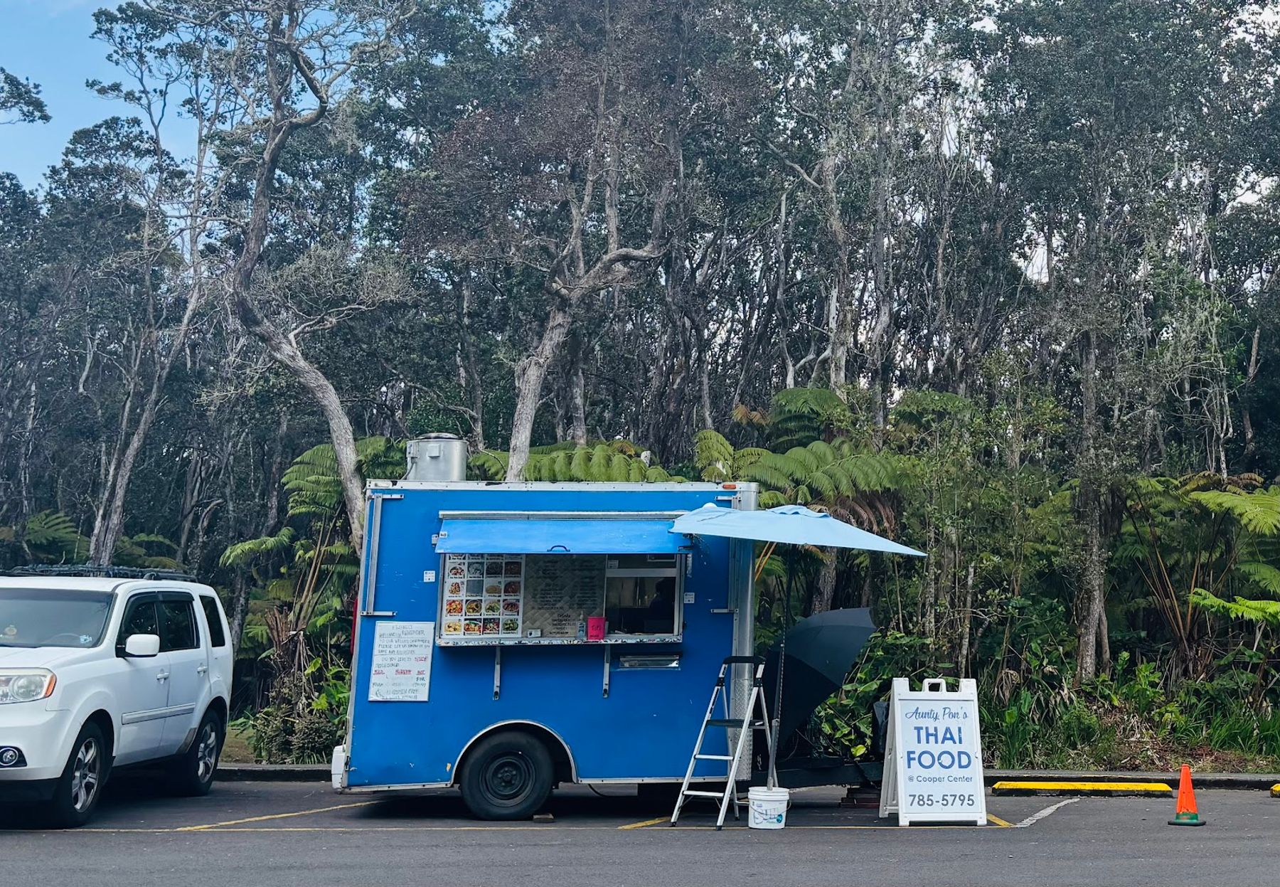 Photo 3 of Aunty Pon's Thai Food Truck in Volcano, Big Island