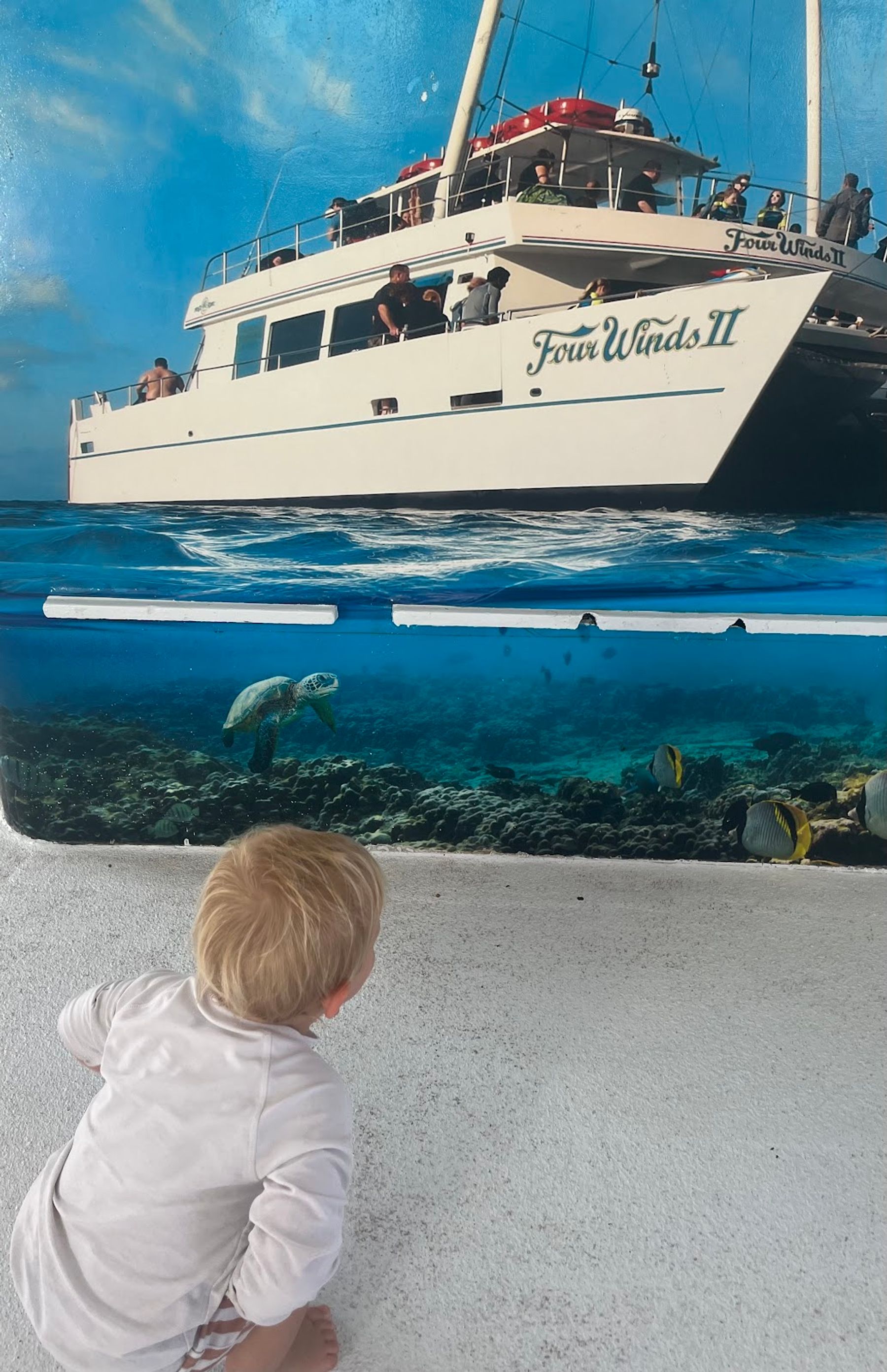 Photo 8 of MCC Four Winds and Maui Magic Snorkel Tour Boats in Kīhei, Maui