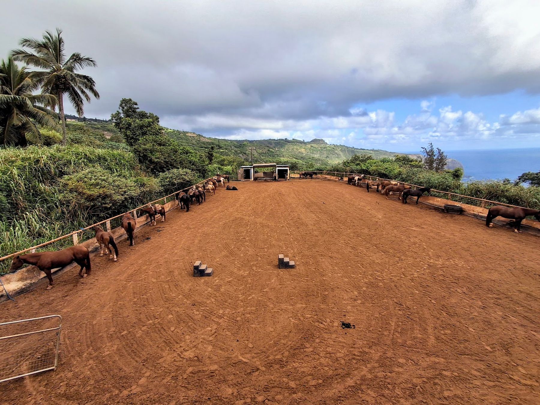 Photo 5 of Circle M Ranch, formerly Mendes Ranch in Wailuku, Maui
