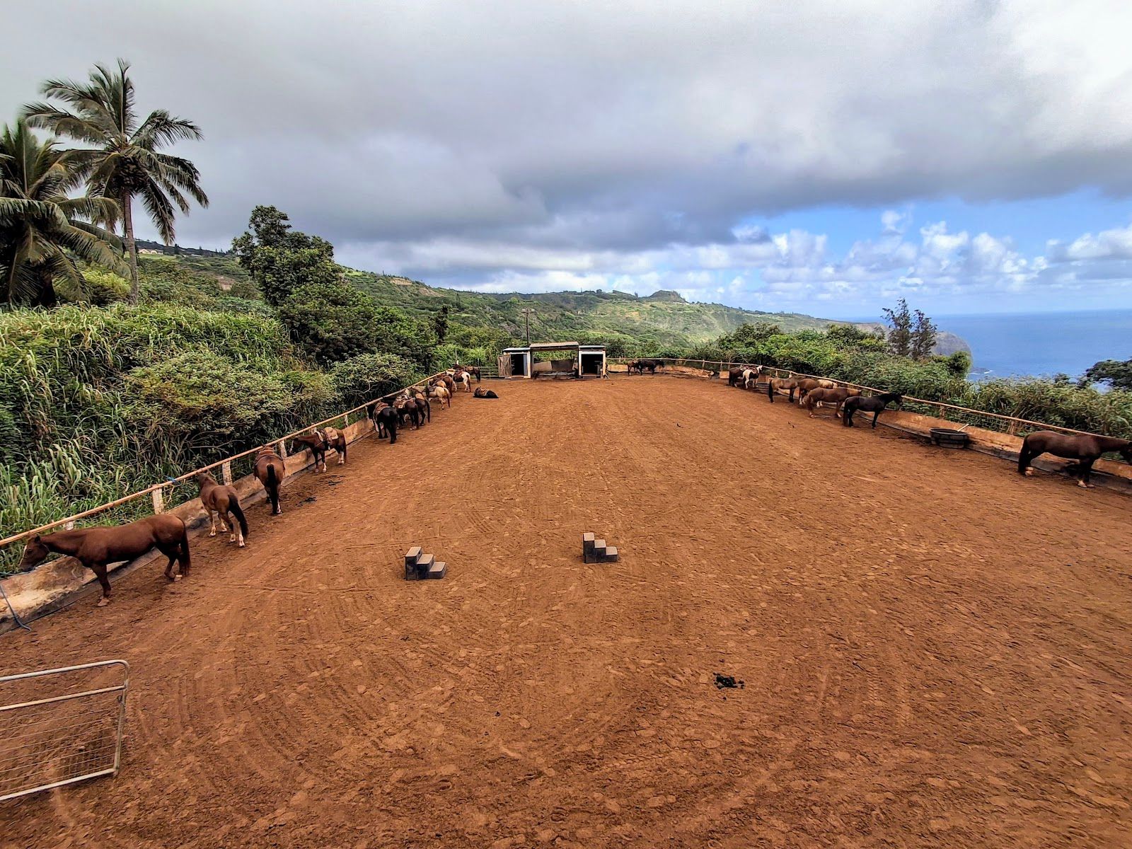 Photo 5 of Circle M Ranch, formerly Mendes Ranch in Wailuku, Maui