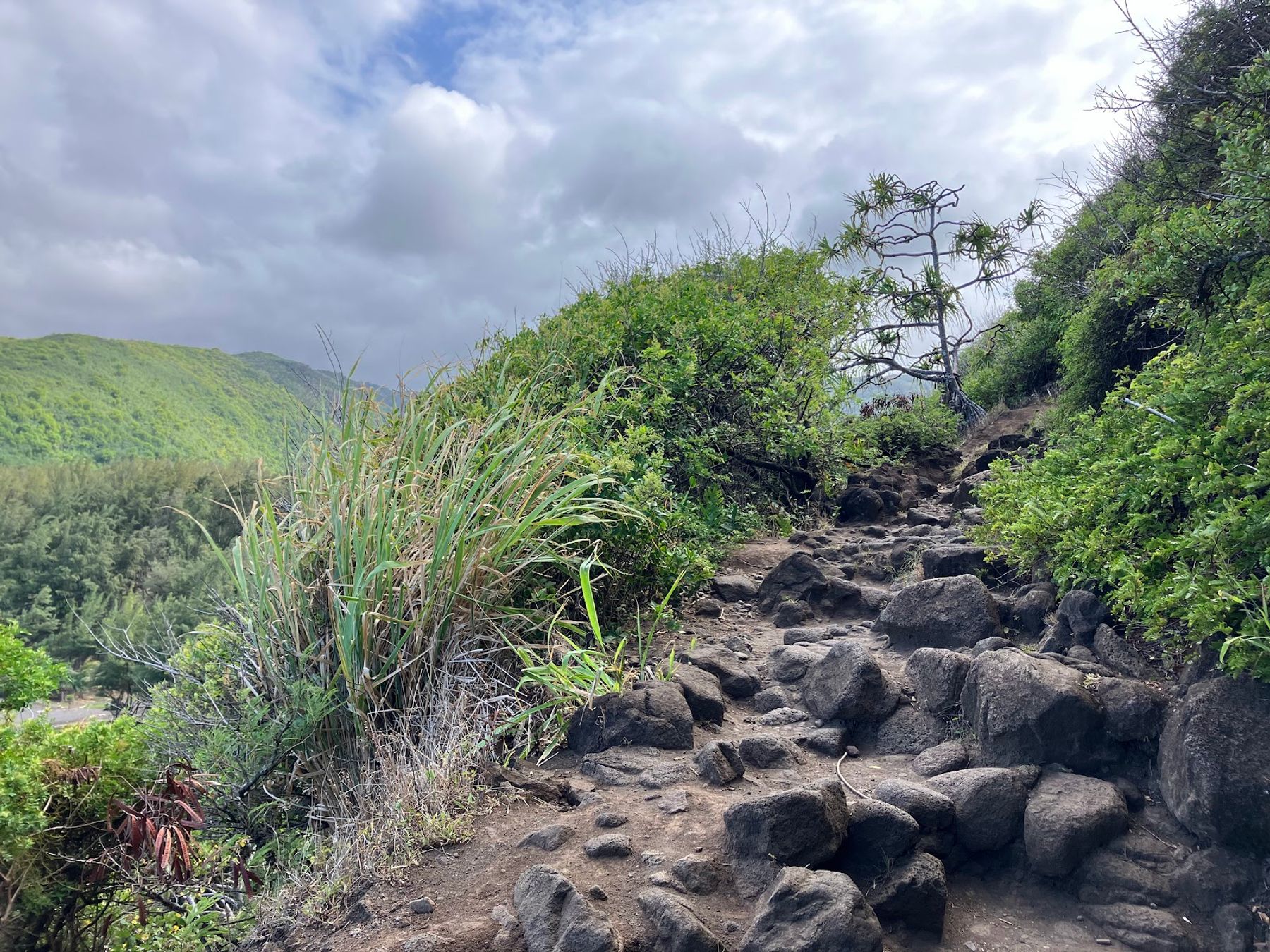 Photo 9 of Pololu Trail in North Kohala, Big Island
