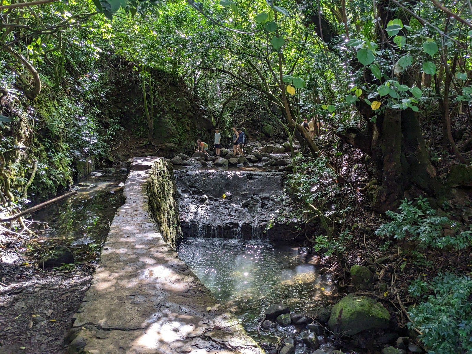 Photo 6 of Lulumahu Falls in Mānoa, Makiki & Nuʻuanu, Oahu