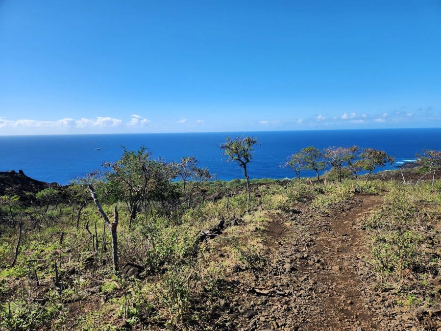 Photo 1 of Captain Cook Monument Trail in South Kona, Big Island
