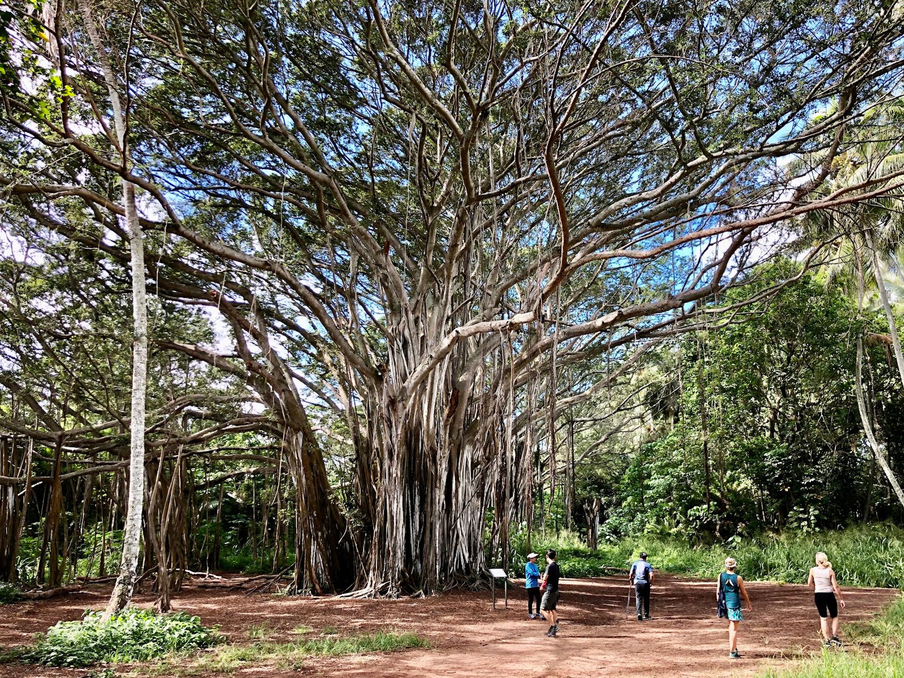 Photo 2 of Kawela Bay Beach Park in Kahuku & Turtle Bay, Oahu
