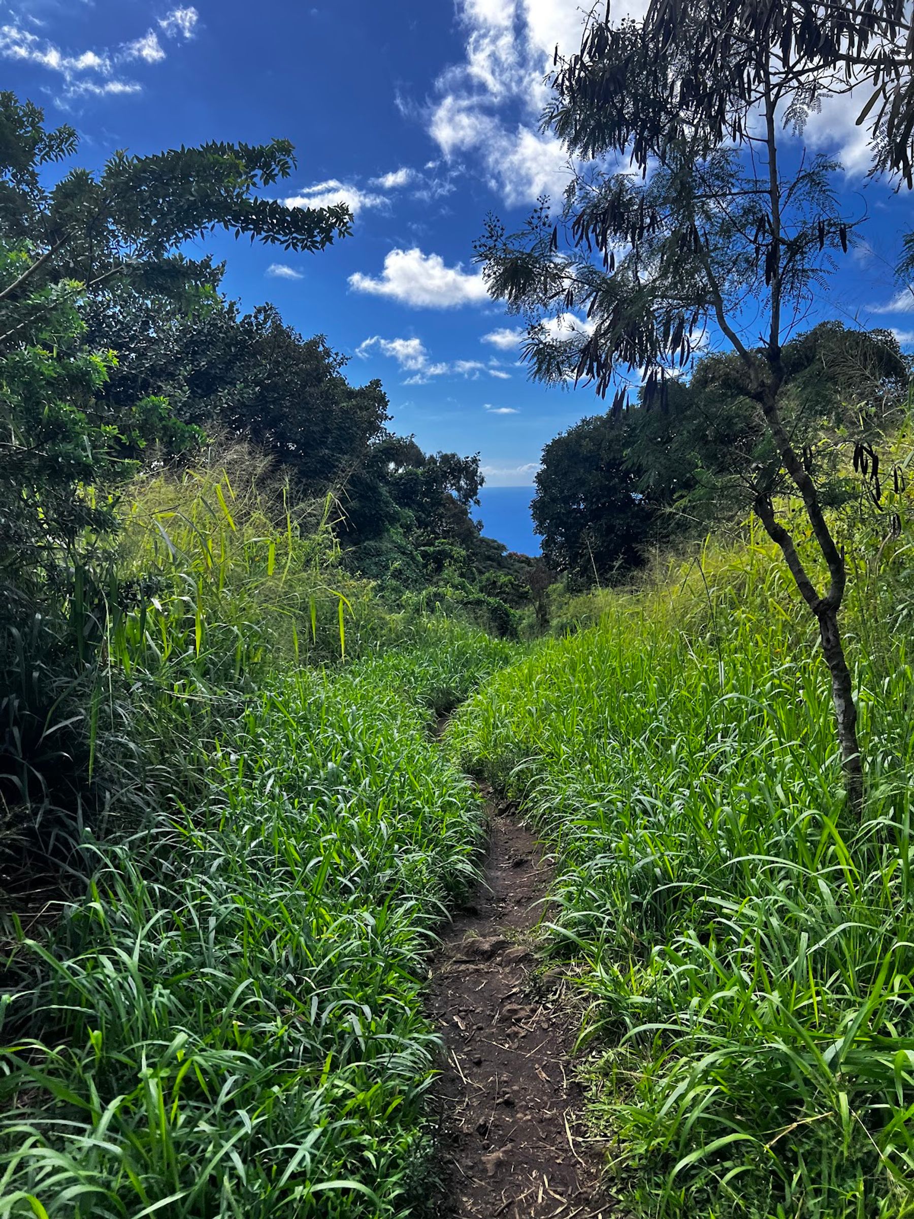 Photo 5 of Captain Cook Monument Trail in South Kona, Big Island