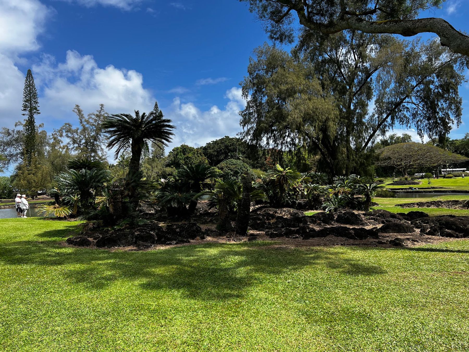 Photo 5 of Friends of Lili'uokalani Gardens in Hilo, Big Island