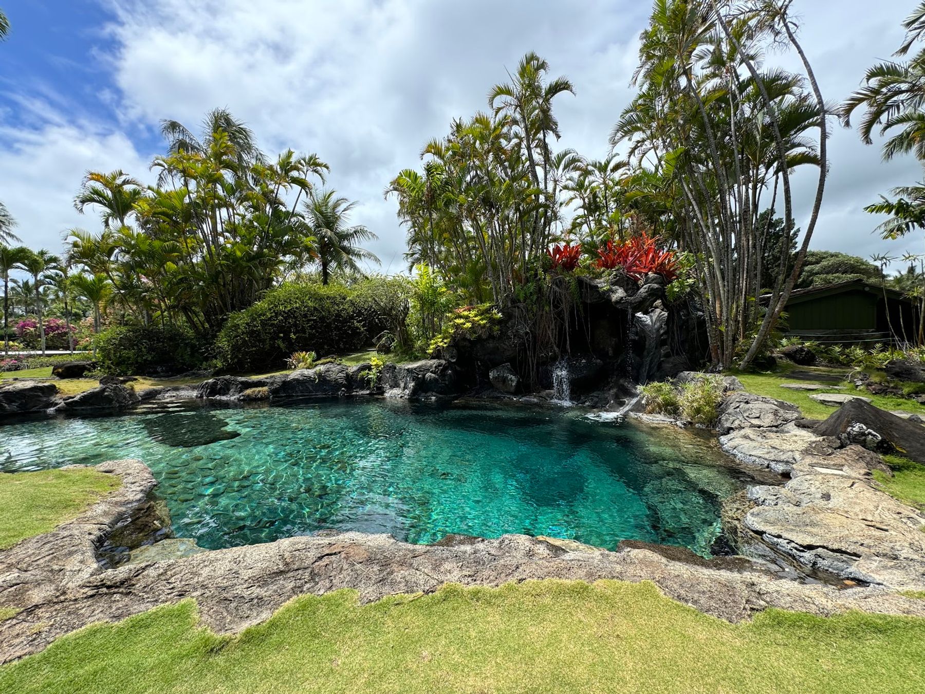 Na 'Aina Kai Botanical Gardens & Sculpture Park in Kīlauea, Kaua‘i photo 3
