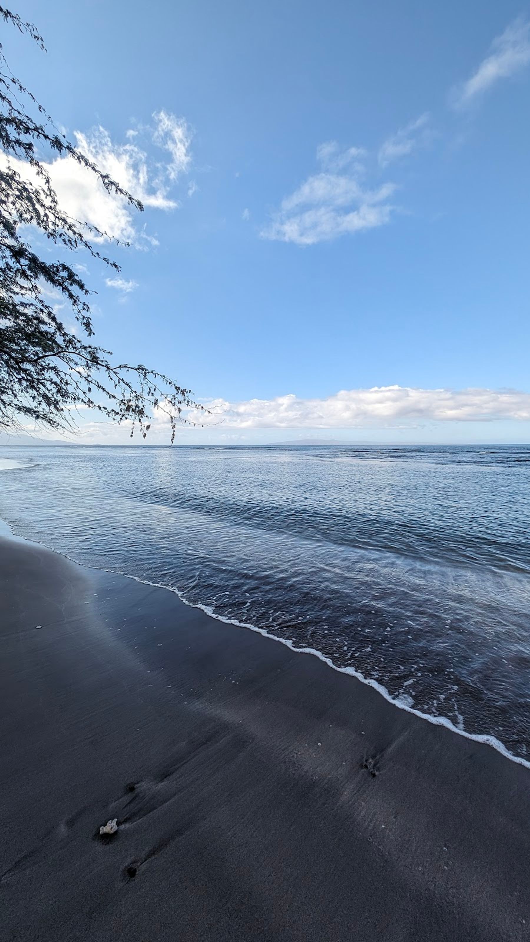 Photo 7 of Olowalu Beach in Olowalu, Maui