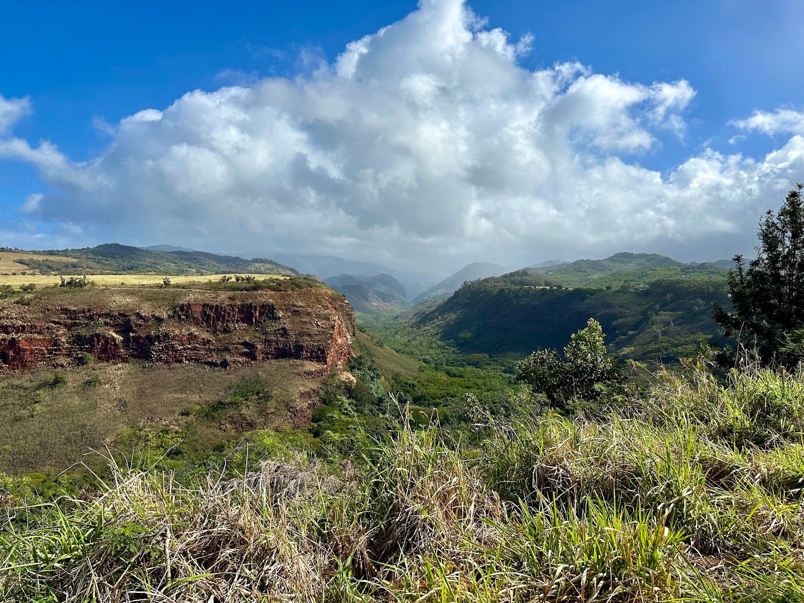 Hanapepe Valley Lookout in Kalaheo, Kaua‘i