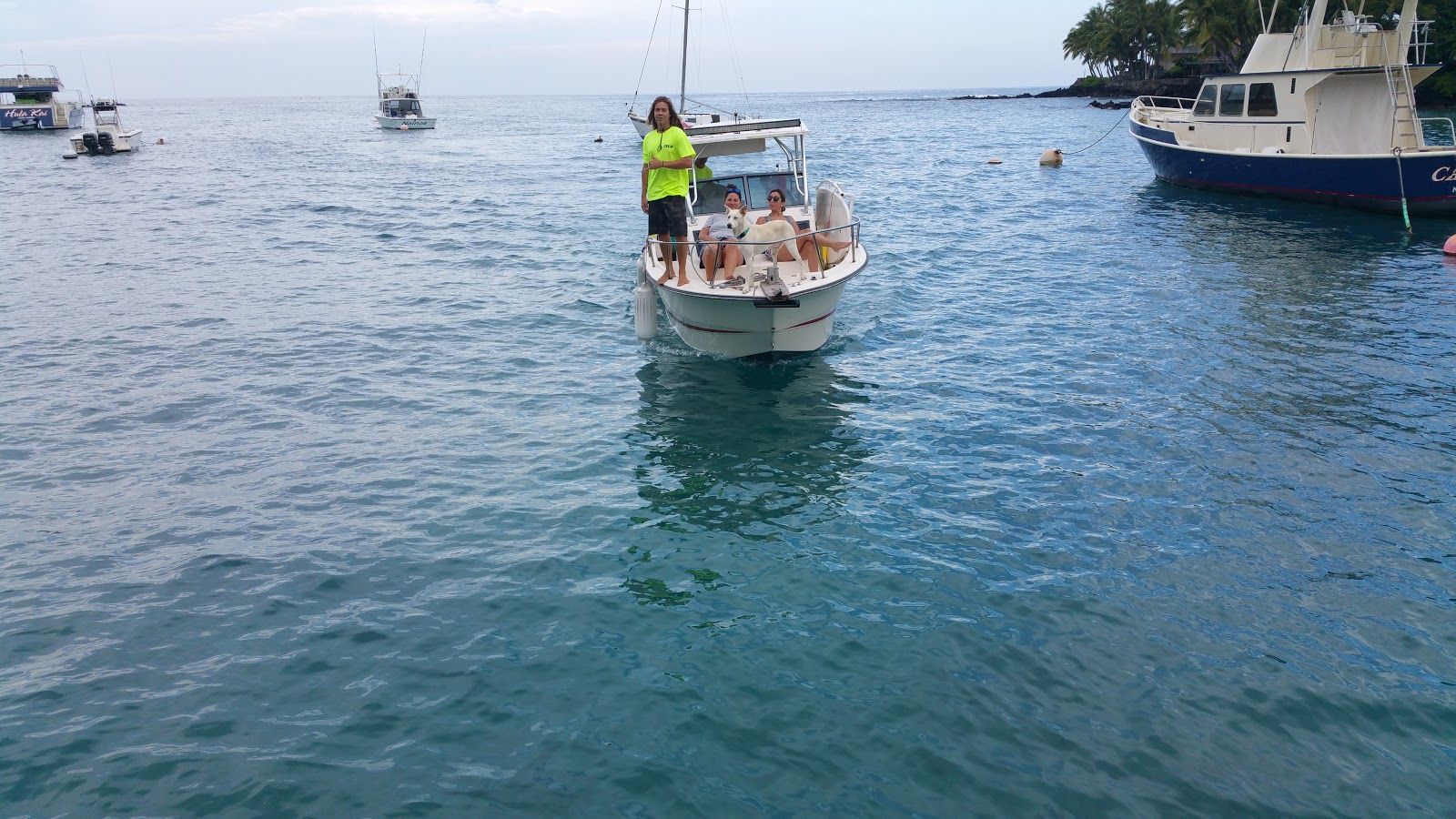 Photo 4 of My Kona Adventures in Kailua-Kona, Big Island