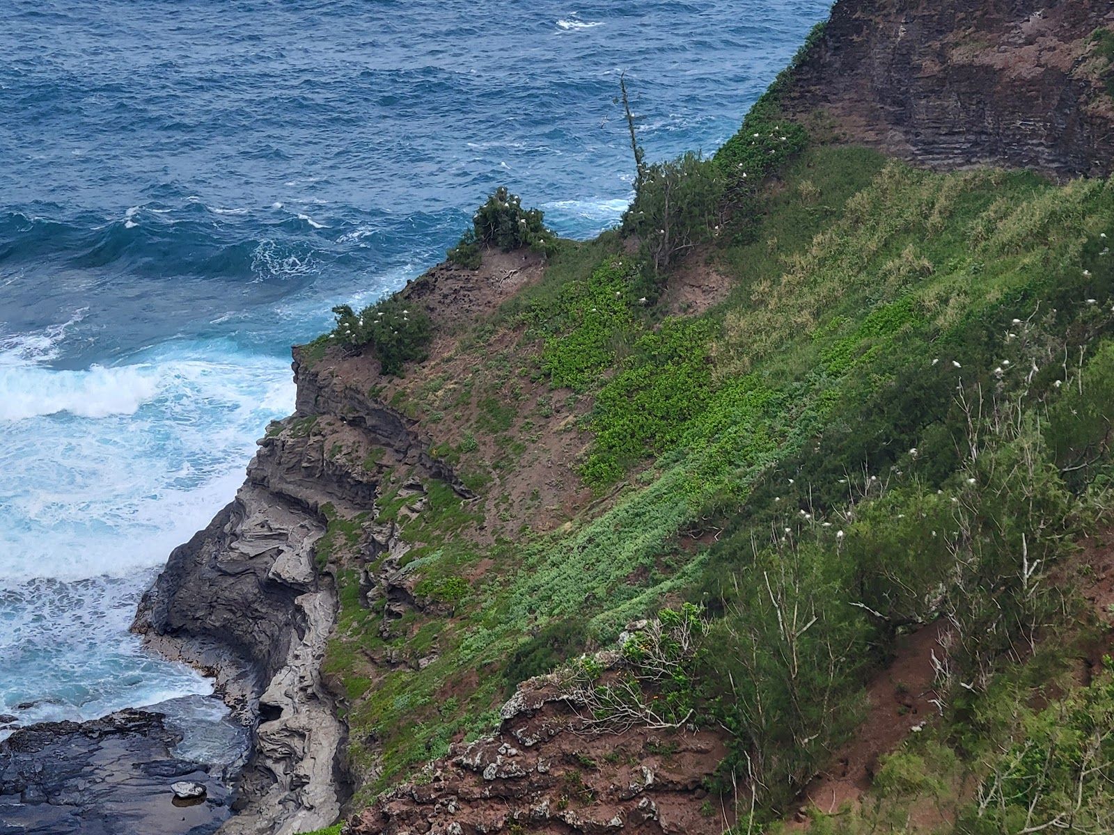 Kilauea Point National Wildlife Refuge in Kīlauea, Kaua‘i photo 3