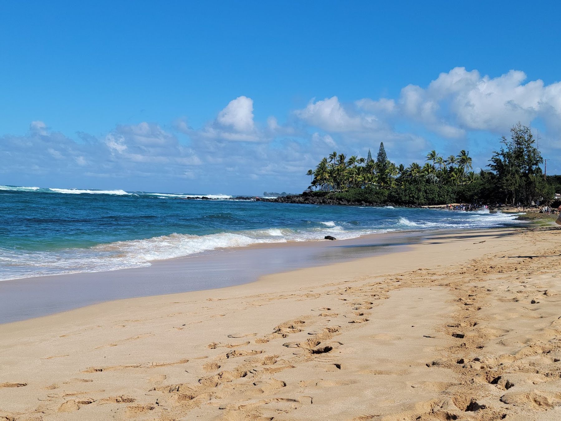 Photo 1 of ʻEhukai Beach Park in Pūpūkea, Oahu