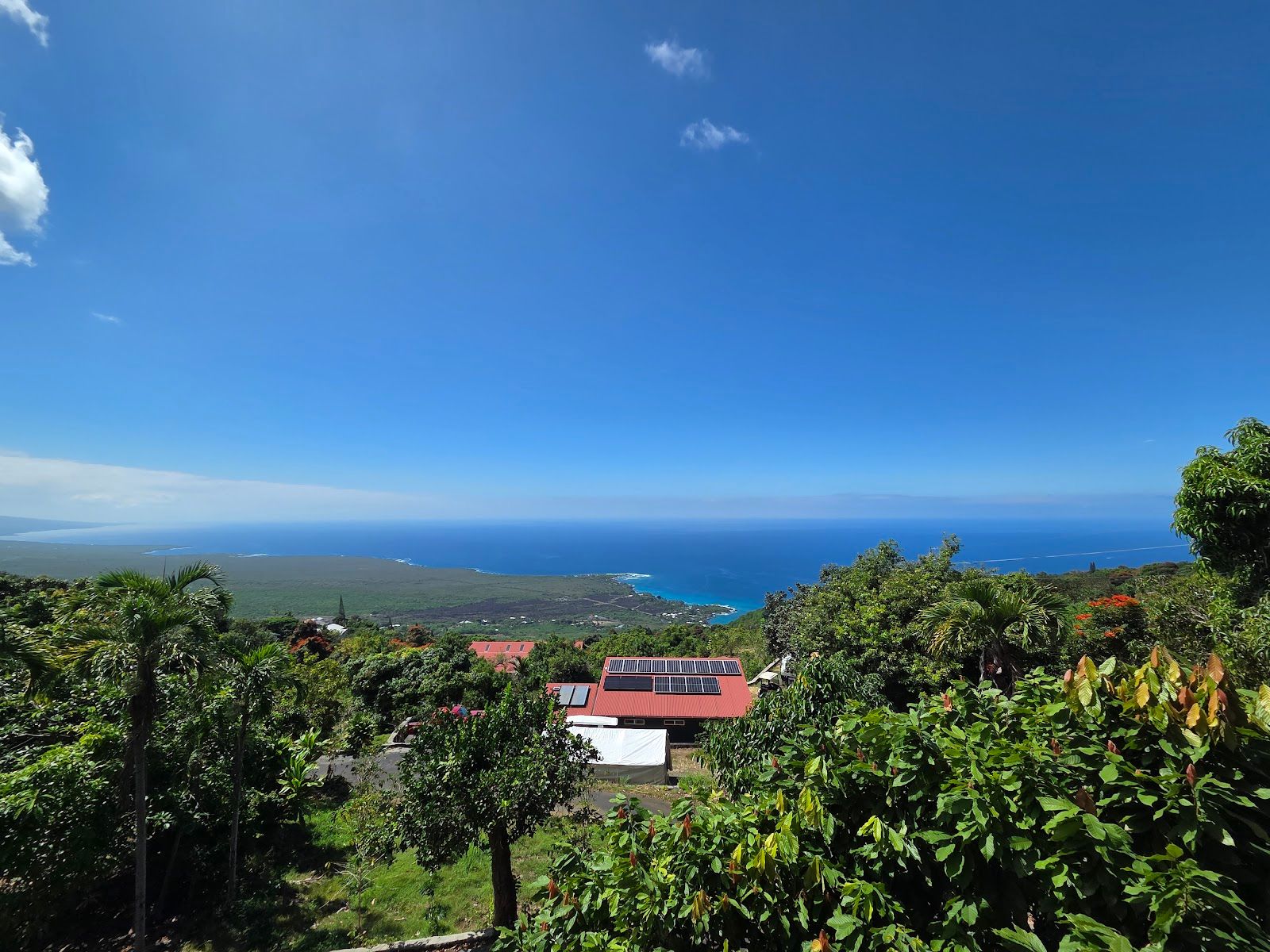 Photo 2 of Sacred Grounds Coffee Farm in South Kona, Big Island