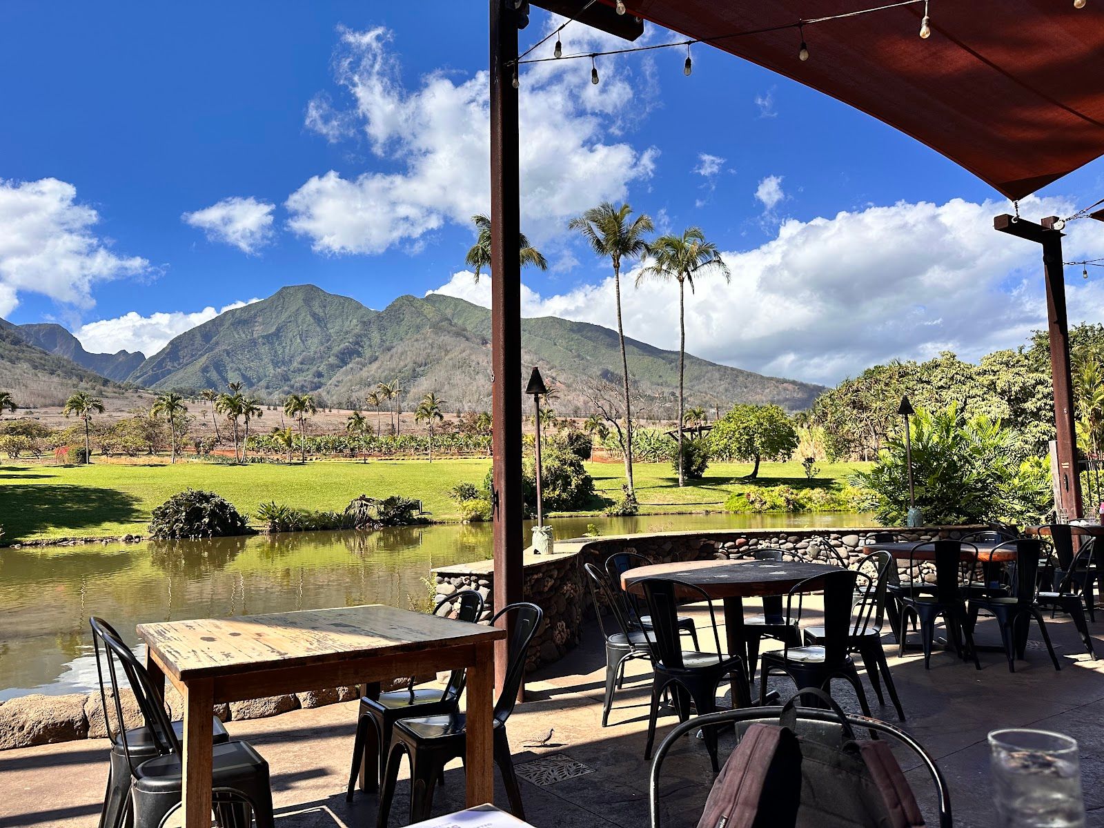 Photo 1 of Cafe O'Lei at the Plantation in Wailuku, Maui